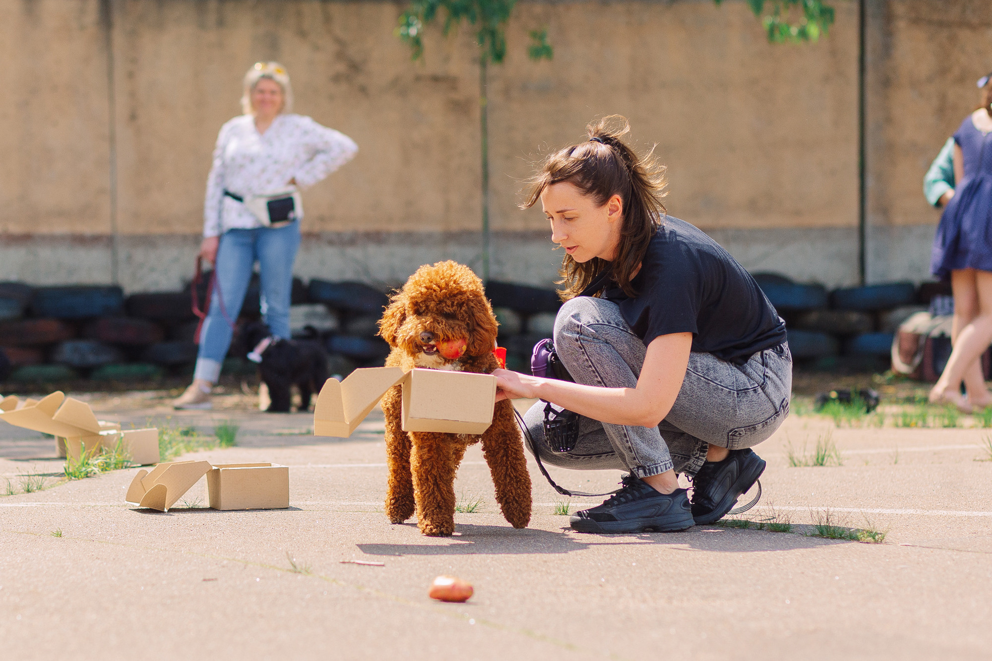 Дог-туса. Фотограф-анималист Елена Радченко, Москва