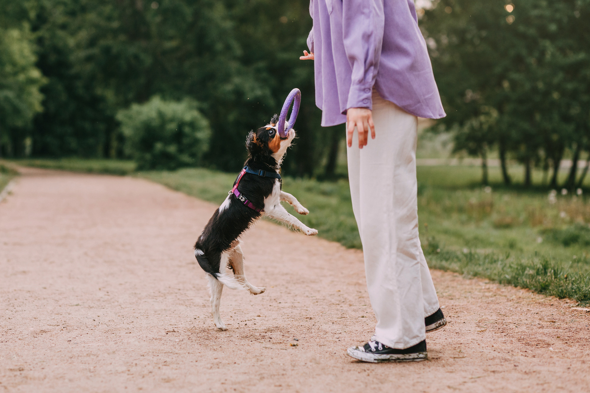 Вика и Морти. Фотограф-анималист Елена Радченко, Москва