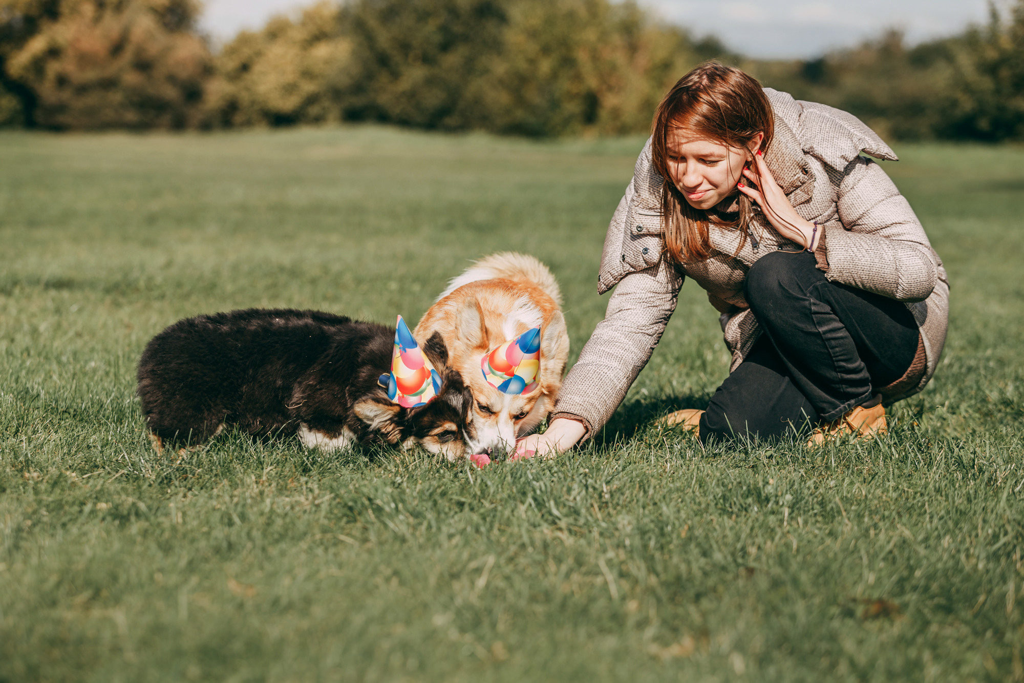 День рождения Габи. Фотограф-анималист Елена Радченко, Москва