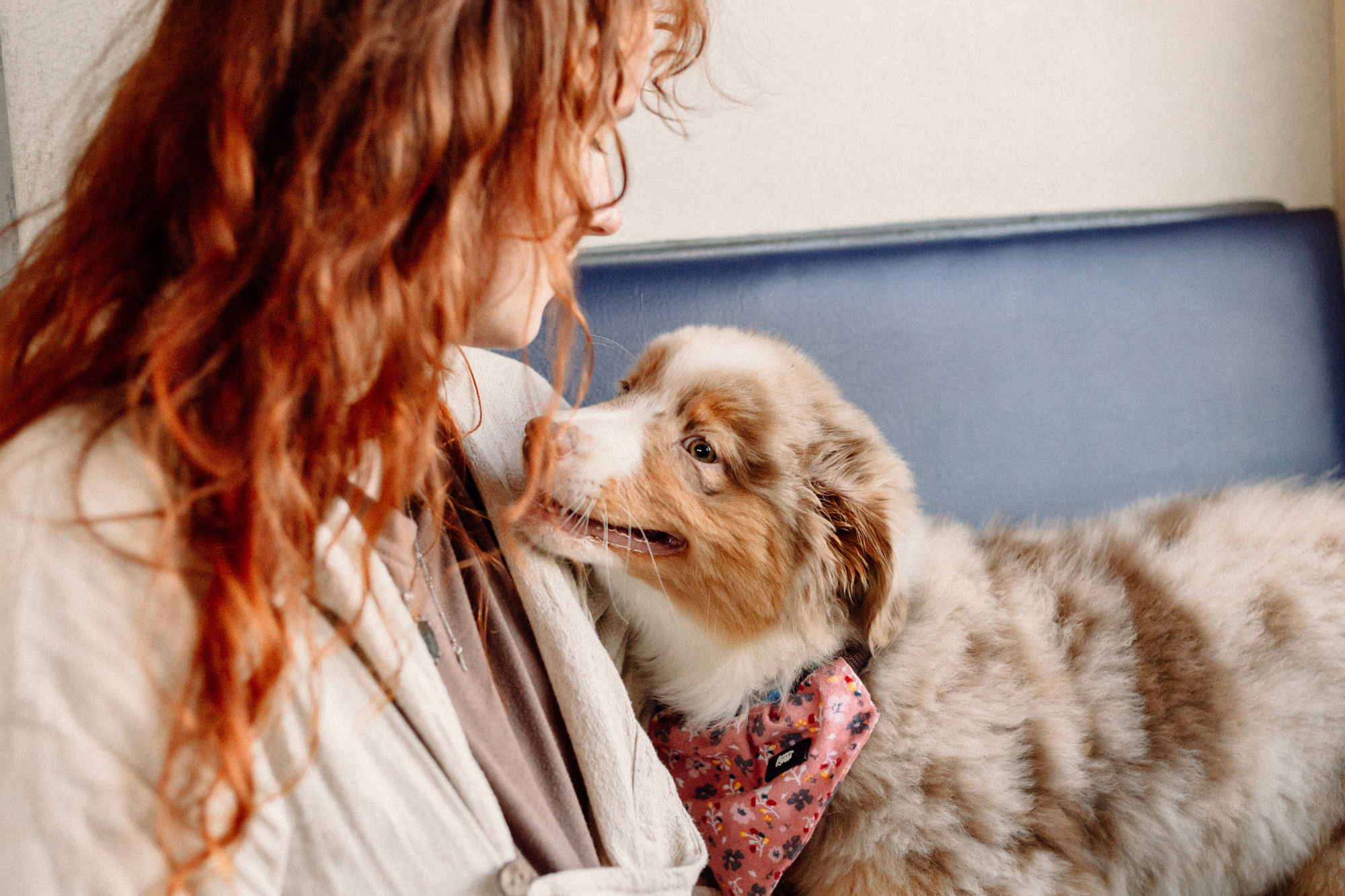 Тася и Брусника. Встреча с поезда. Фотограф-анималист Елена Радченко, Москва