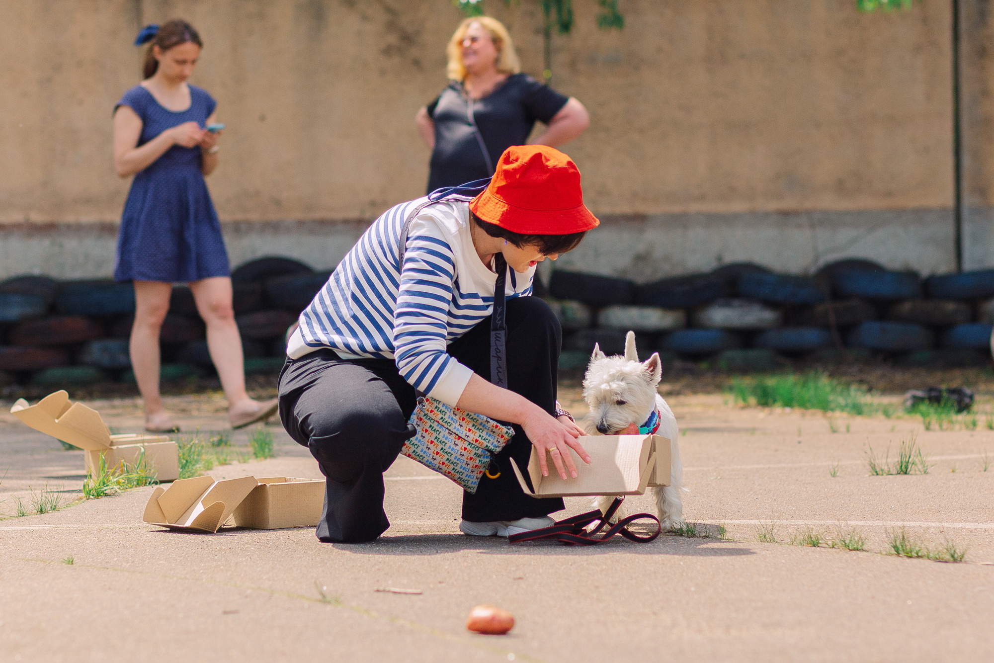 Дог-туса. Фотограф-анималист Елена Радченко, Москва
