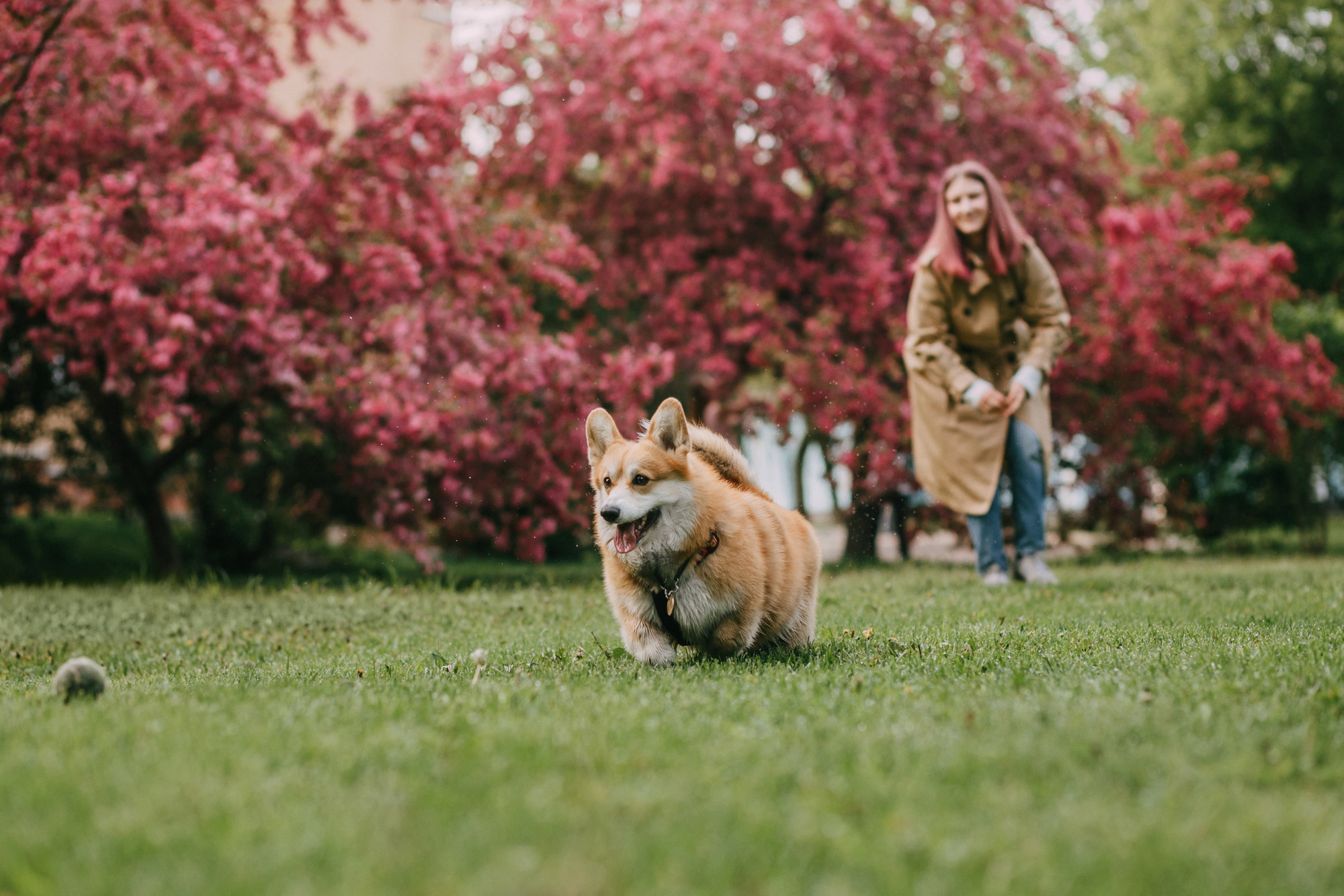 Анна и Филипп. Фотограф-анималист Елена Радченко, Москва