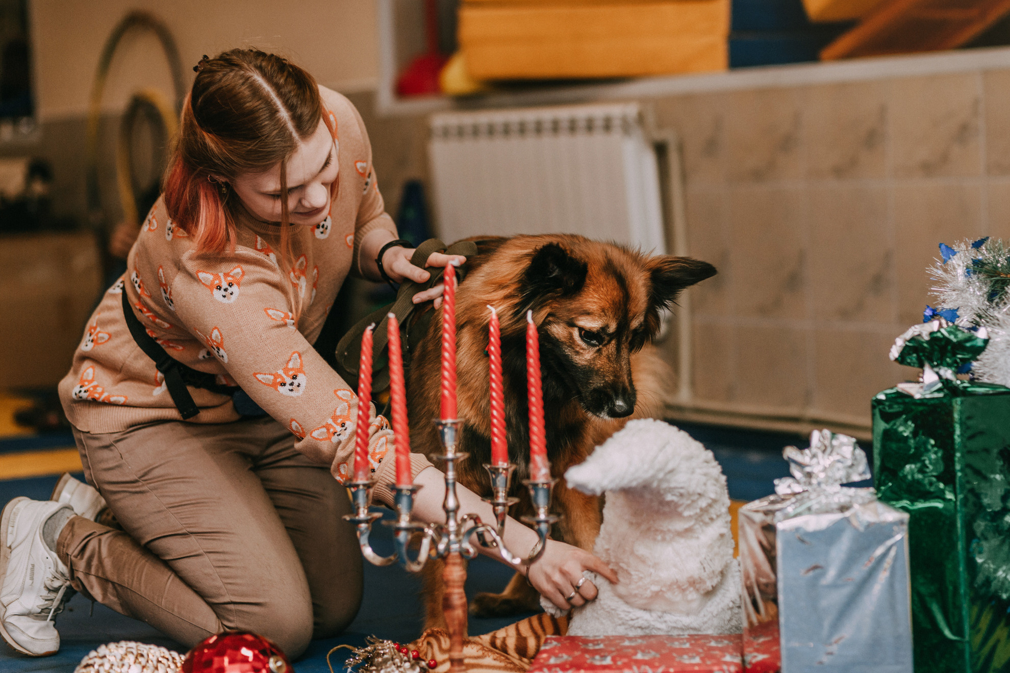 Собачий Новый год. Фотограф-анималист Елена Радченко, Москва