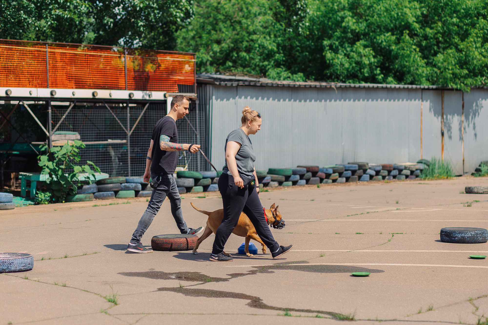 Дог-туса. Фотограф-анималист Елена Радченко, Москва