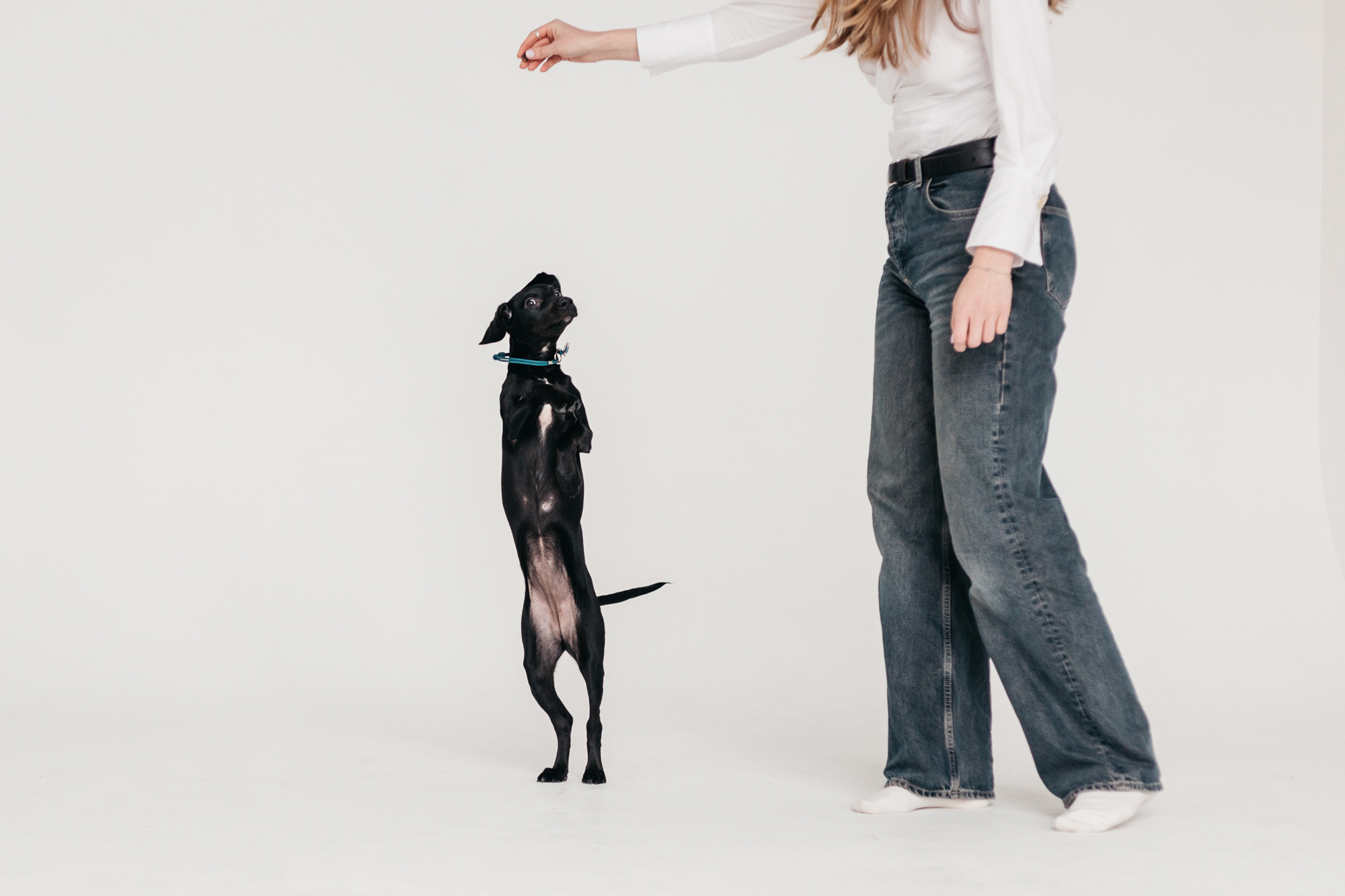 Фотодень 4 апреля. Фотограф-анималист Елена Радченко, Москва