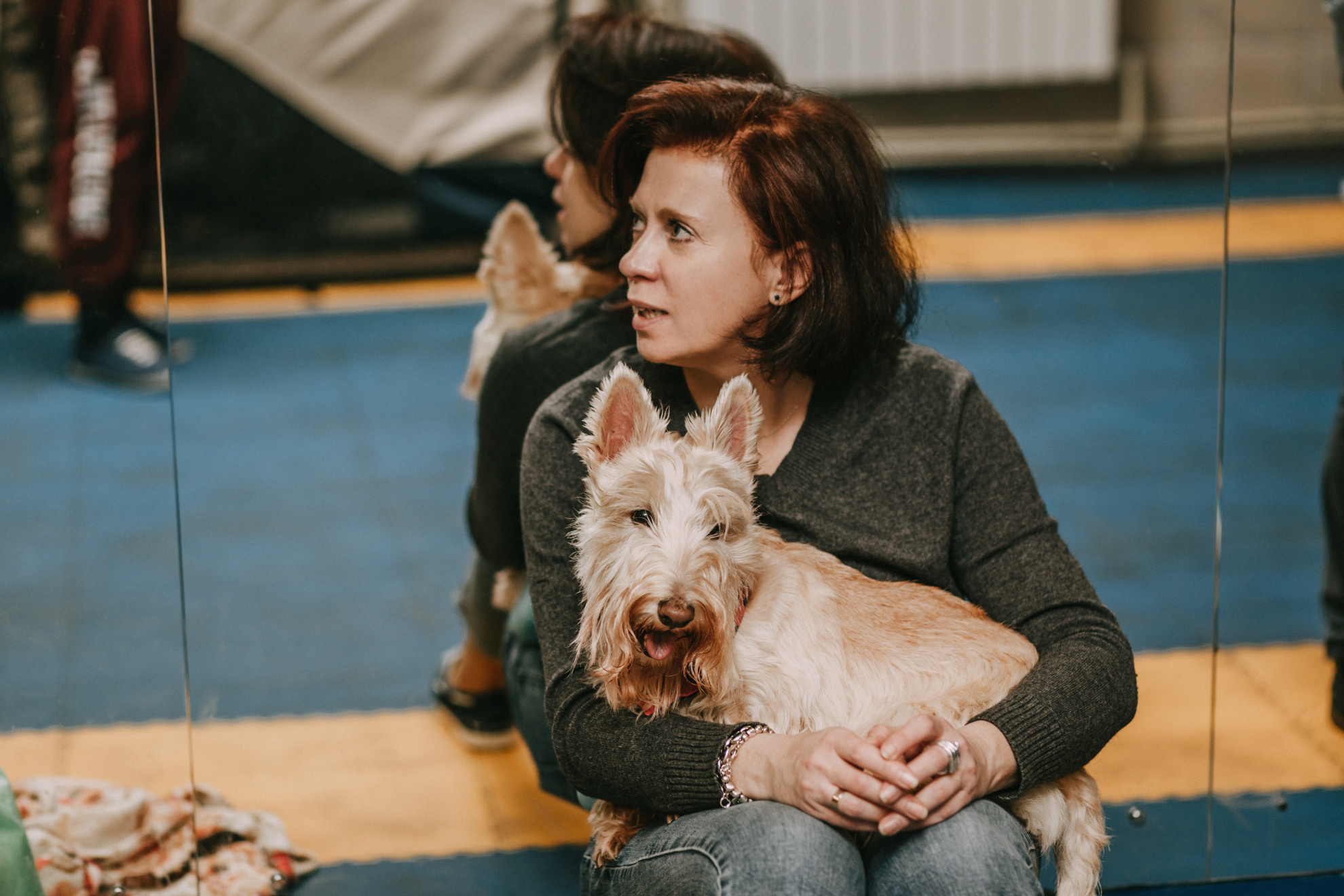 Собачий Новый год. Фотограф-анималист Елена Радченко, Москва