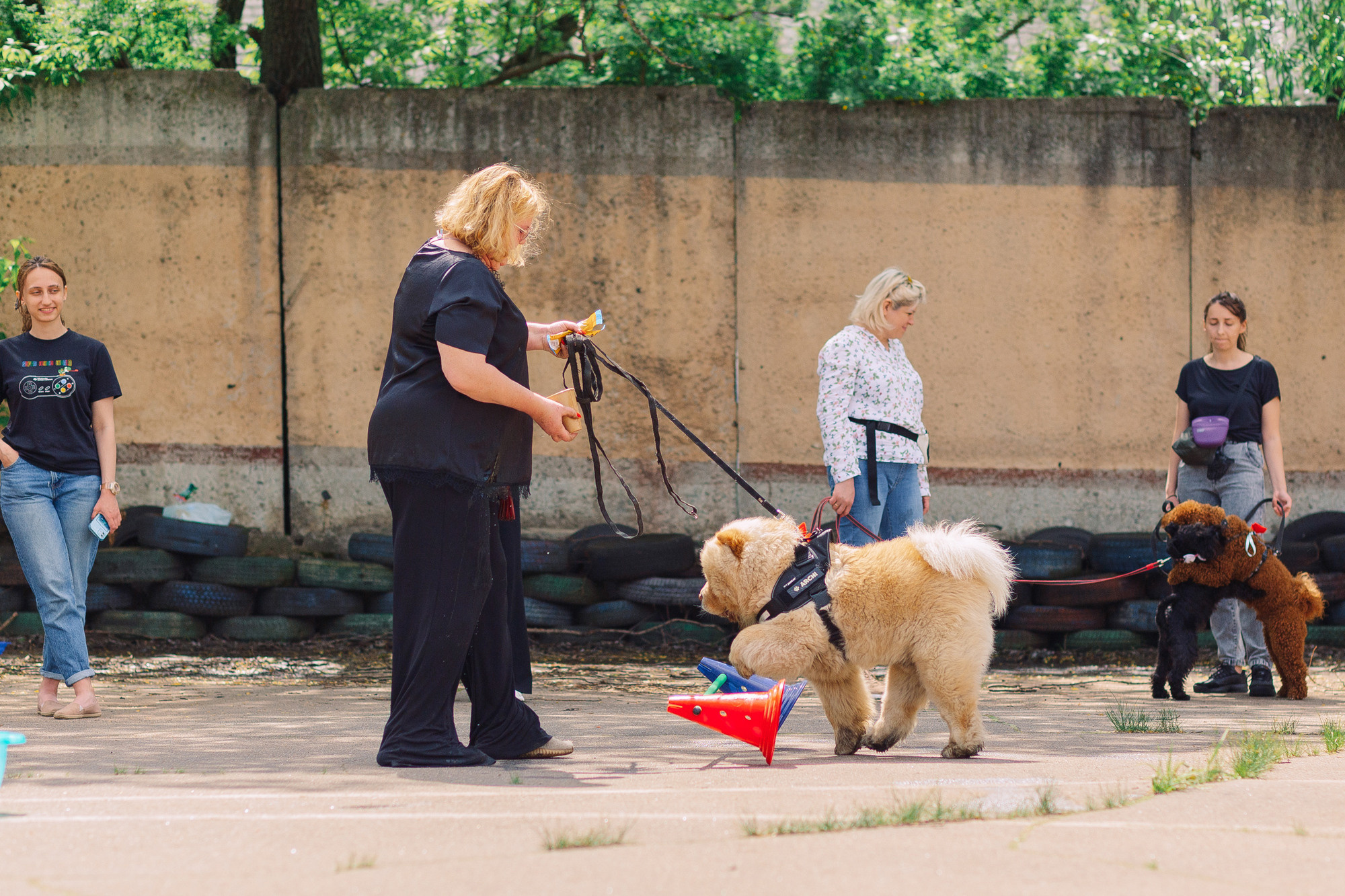 Дог-туса. Фотограф-анималист Елена Радченко, Москва