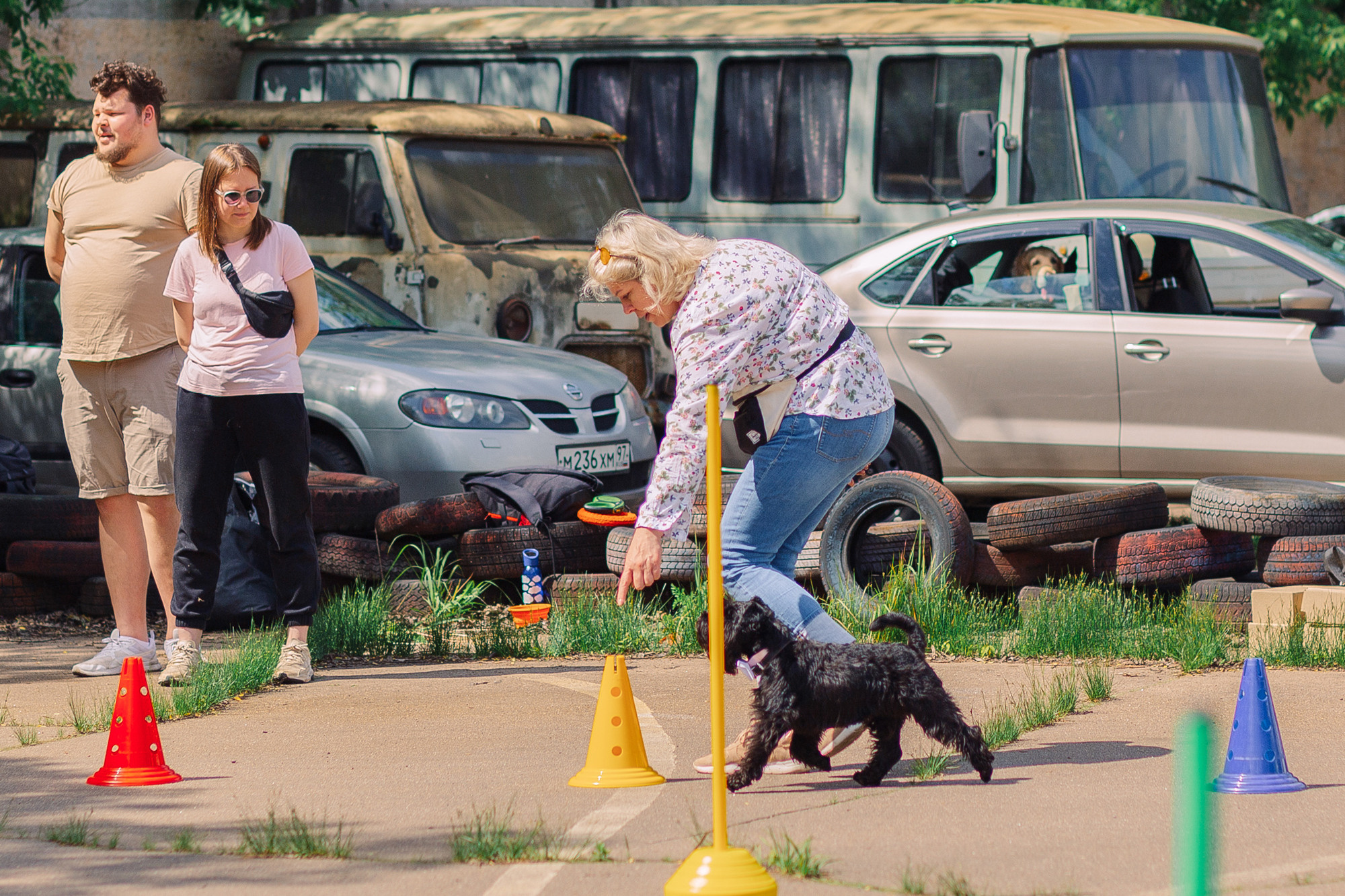 Дог-туса. Фотограф-анималист Елена Радченко, Москва