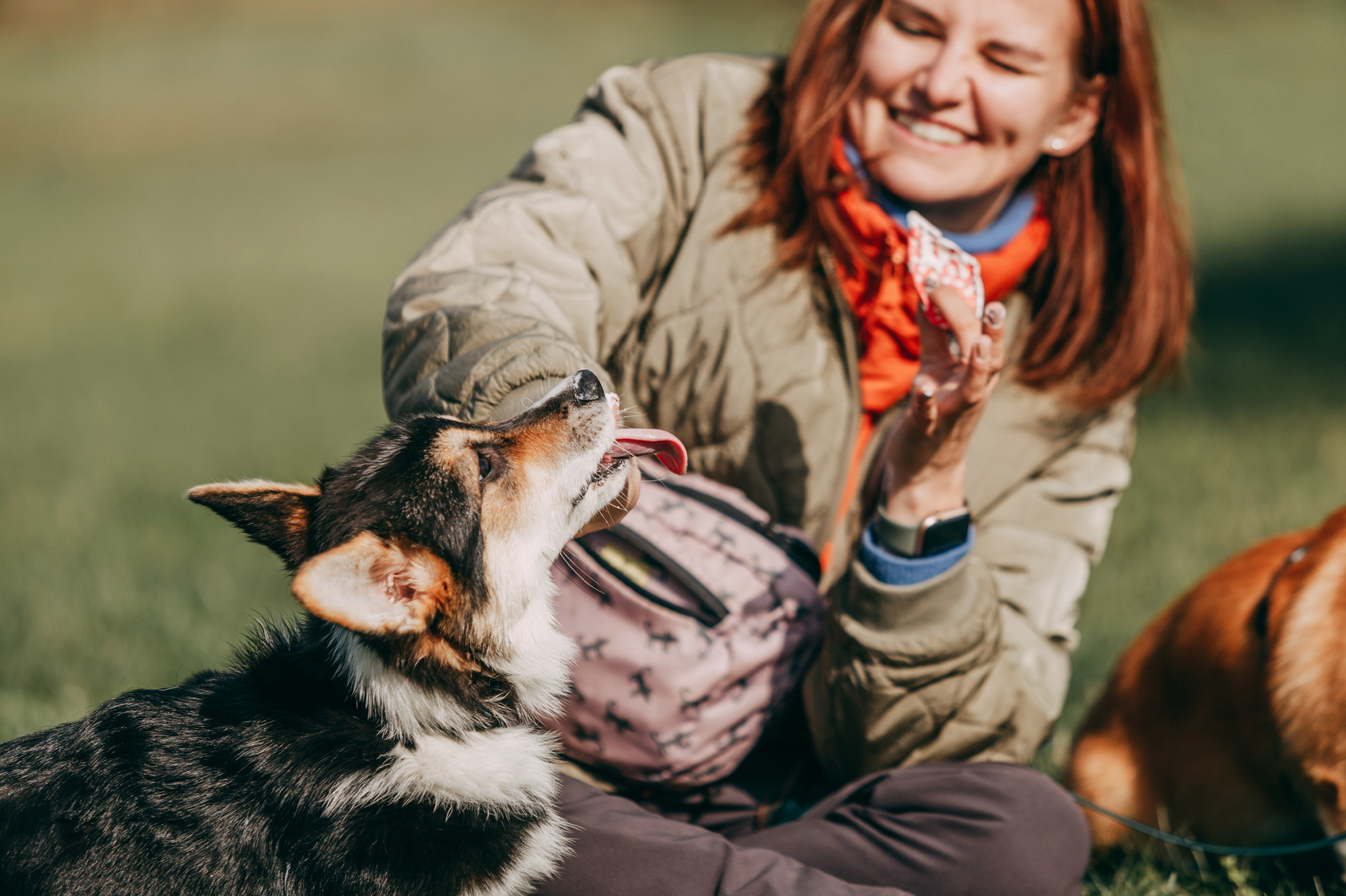 День рождения Габи. Фотограф-анималист Елена Радченко, Москва
