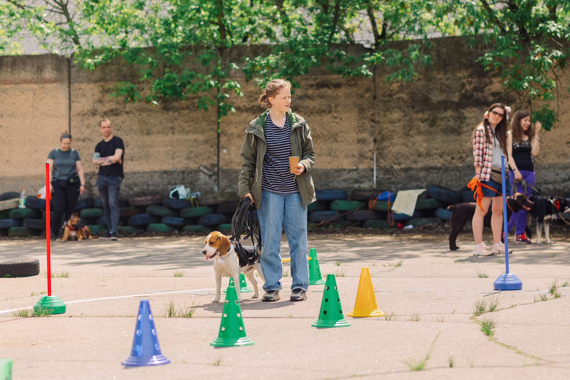 Дог-туса. Фотограф-анималист Елена Радченко, Москва