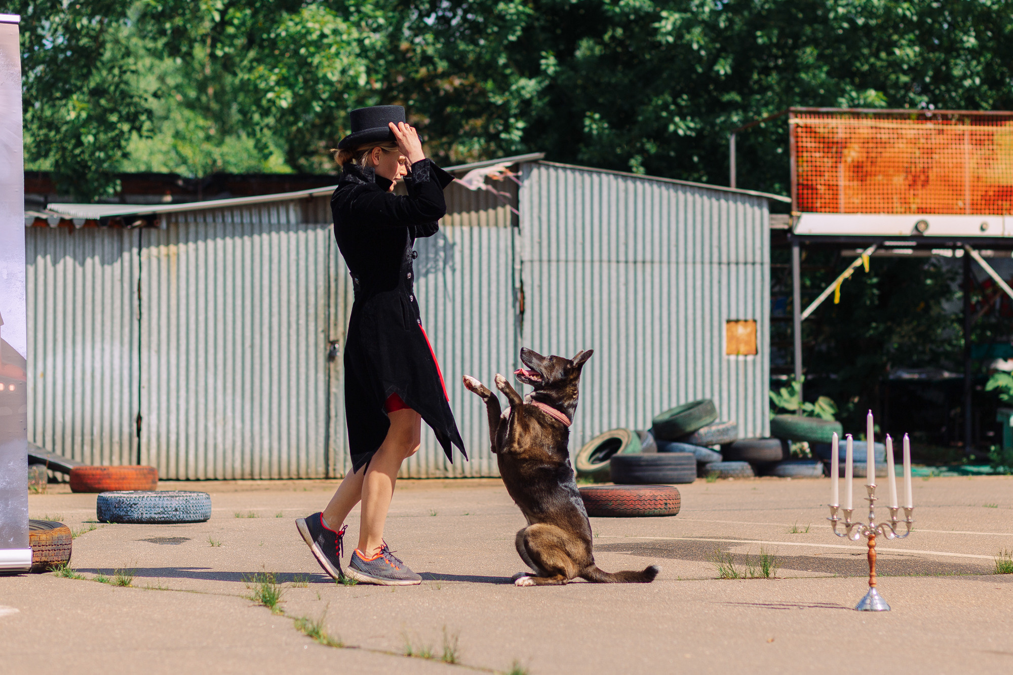Дог-туса. Фотограф-анималист Елена Радченко, Москва