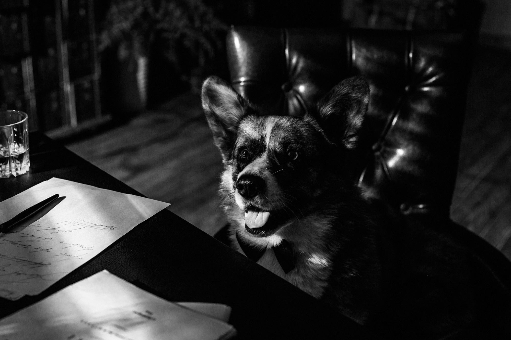 Оля и Куб. Фотограф-анималист Елена Радченко, Москва