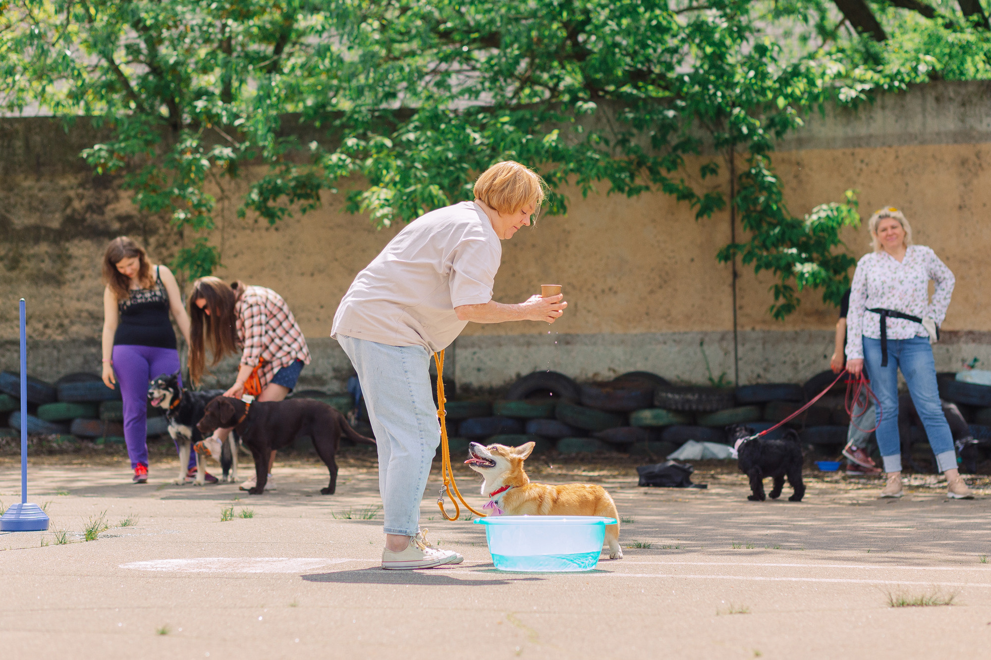 Дог-туса. Фотограф-анималист Елена Радченко, Москва