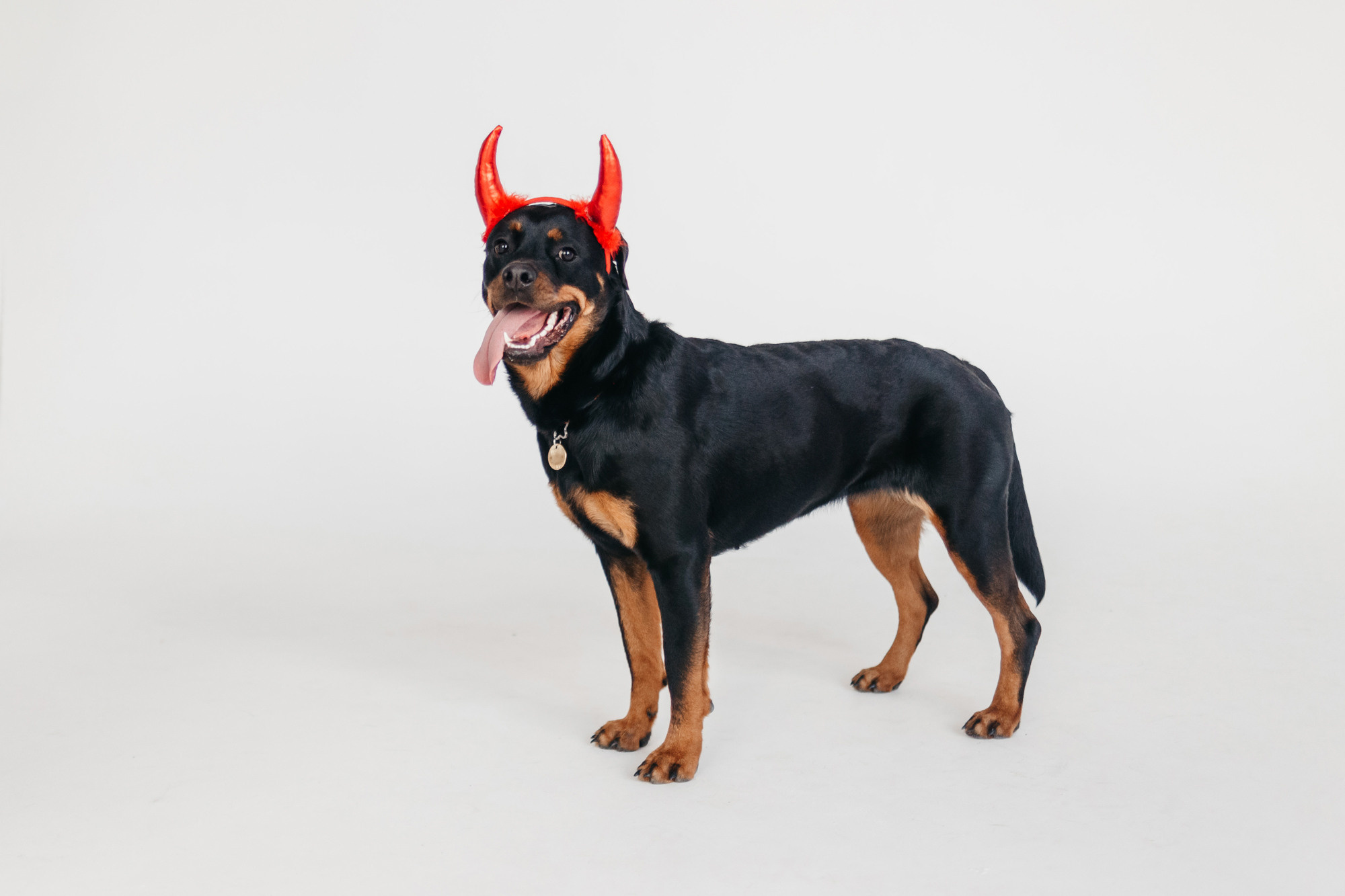 Фотодень 9 апреля. Фотограф-анималист Елена Радченко, Москва