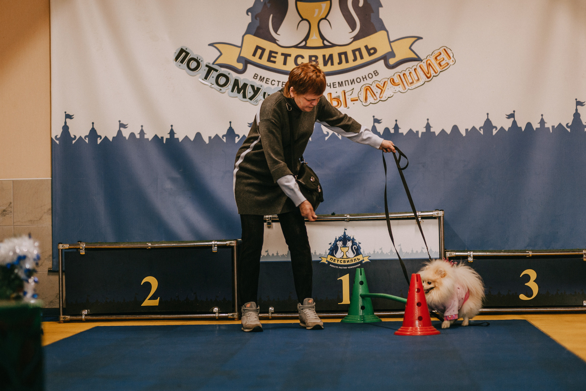 Собачий Новый год. Фотограф-анималист Елена Радченко, Москва