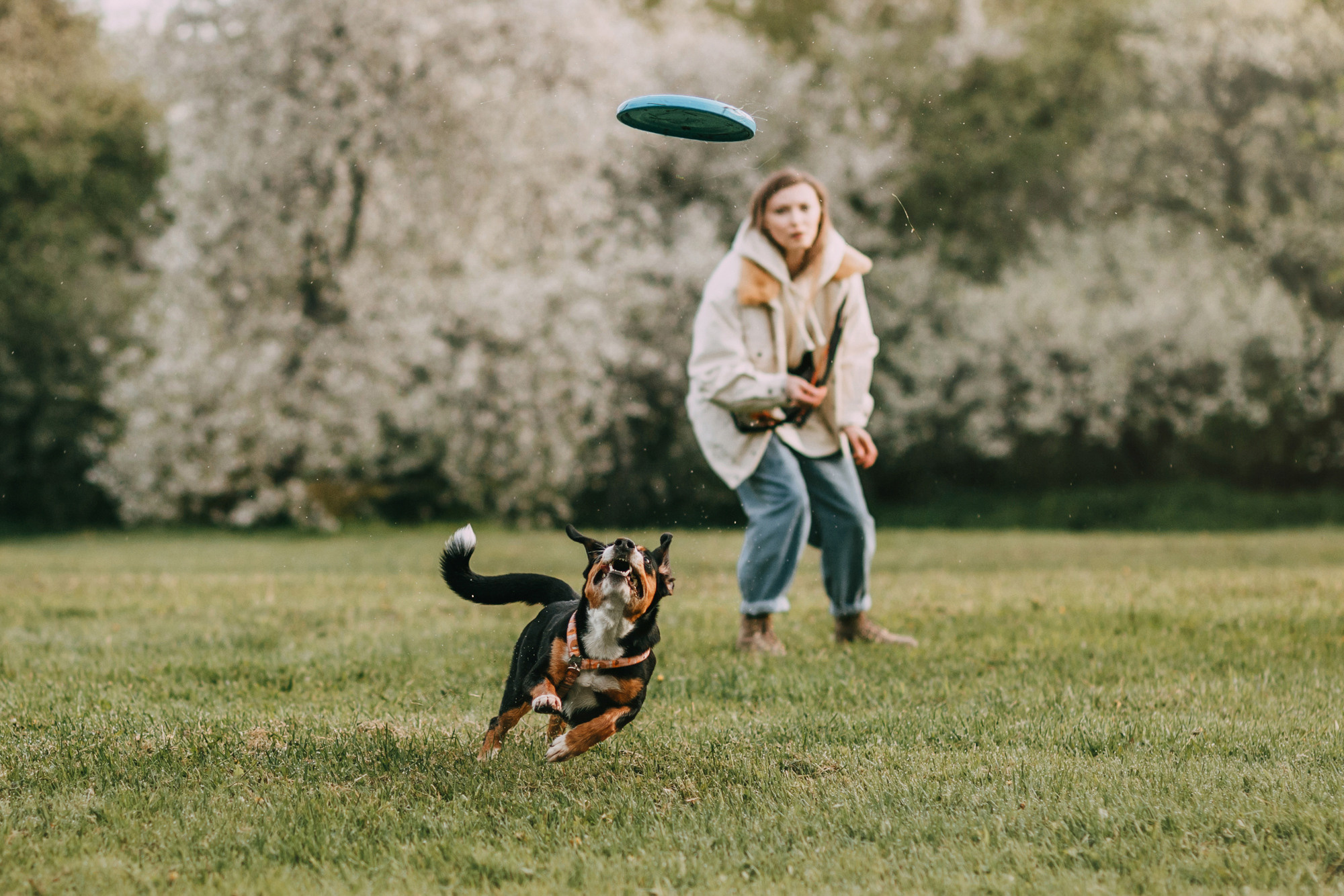 Аня и Вафля. Фотограф-анималист Елена Радченко, Москва