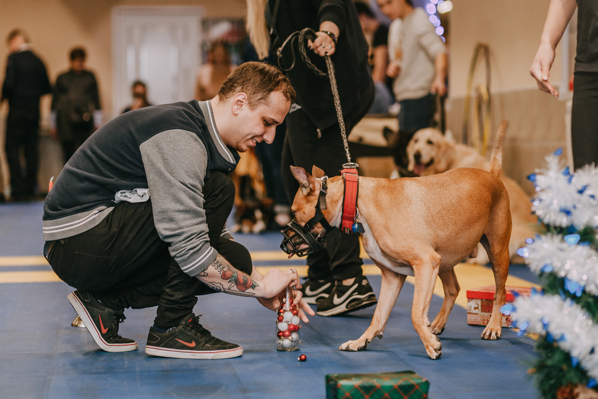 Собачий Новый год. Фотограф-анималист Елена Радченко, Москва