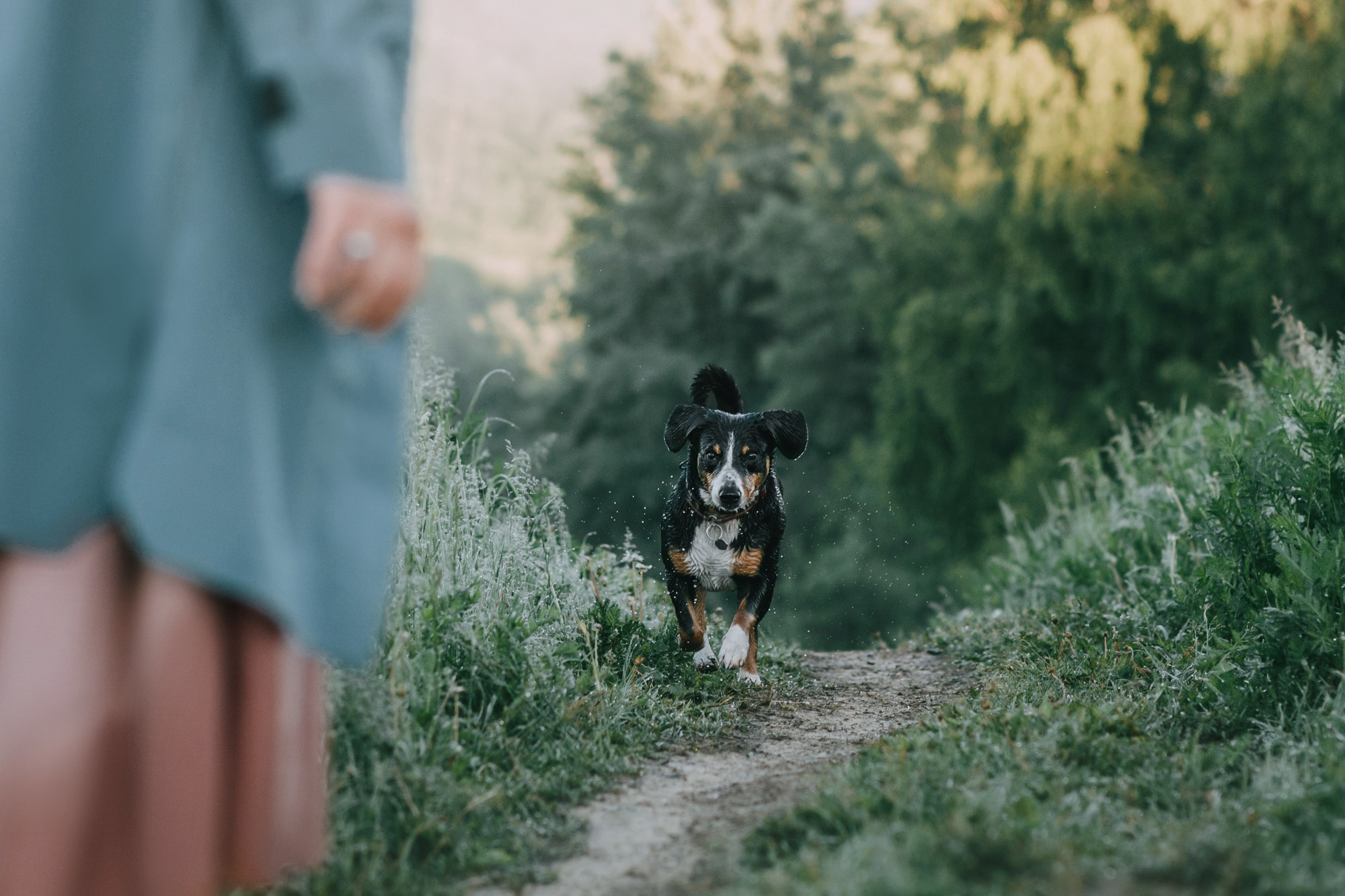 Лида и Яра. Фотограф-анималист Елена Радченко, Москва