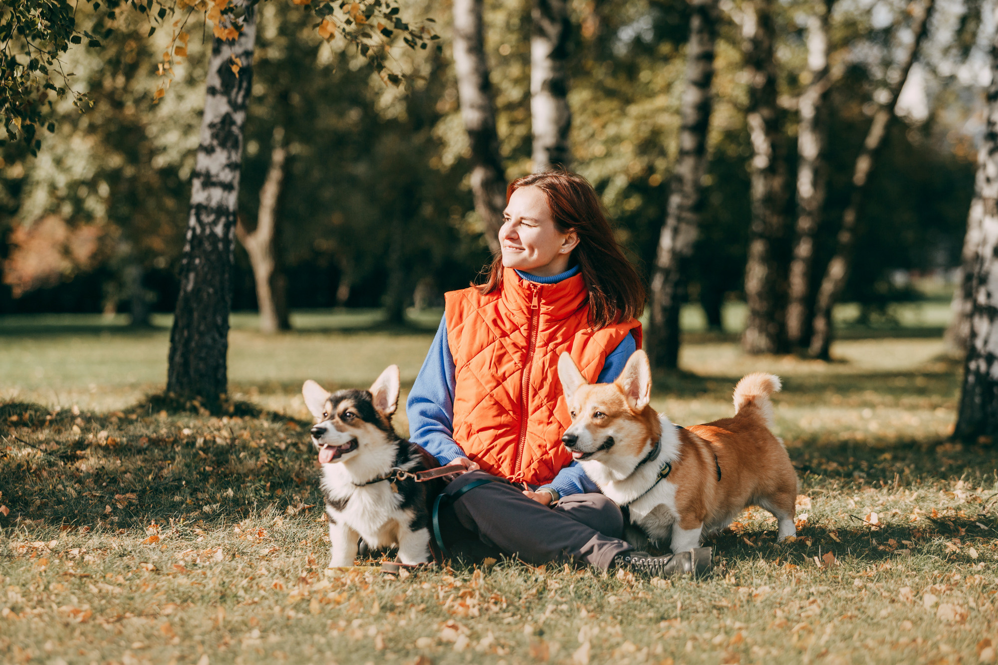 День рождения Габи. Фотограф-анималист Елена Радченко, Москва