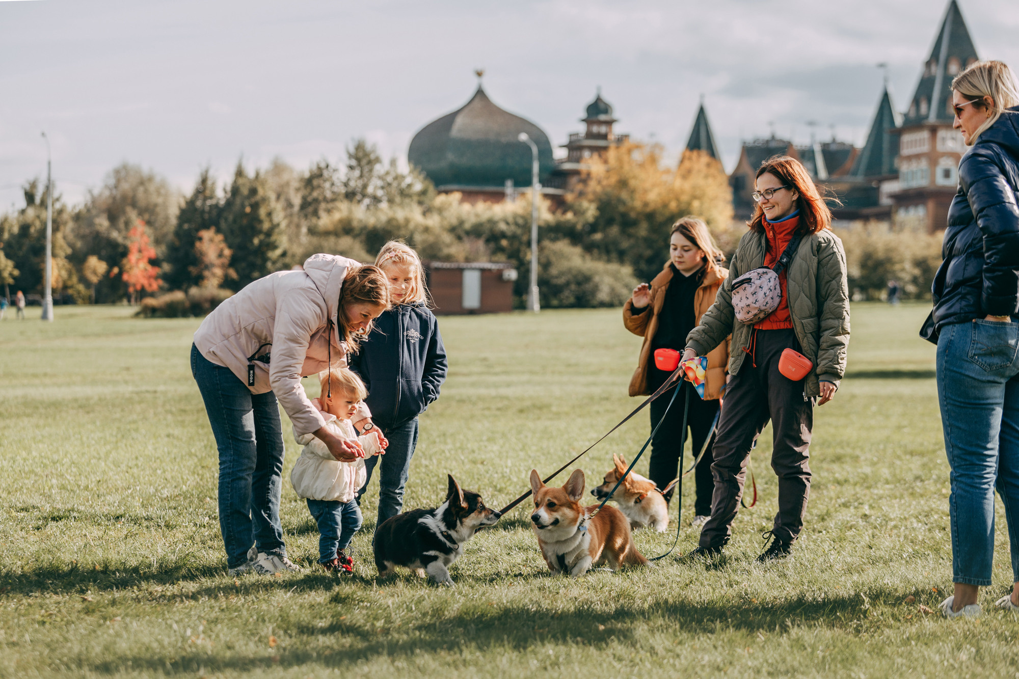 День рождения Габи. Фотограф-анималист Елена Радченко, Москва