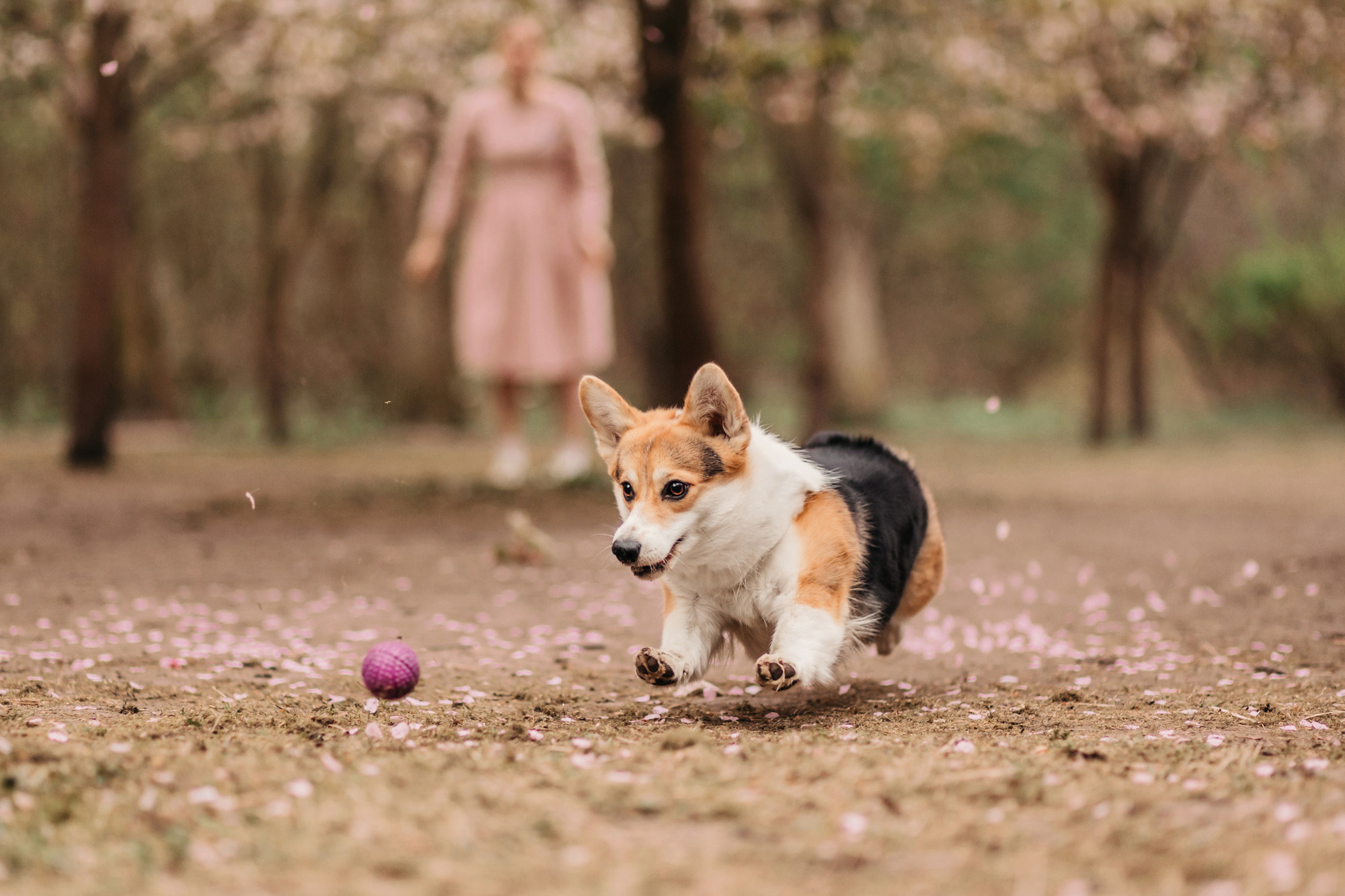 Анна, Рустам и Габи. Фотограф-анималист Елена Радченко, Москва