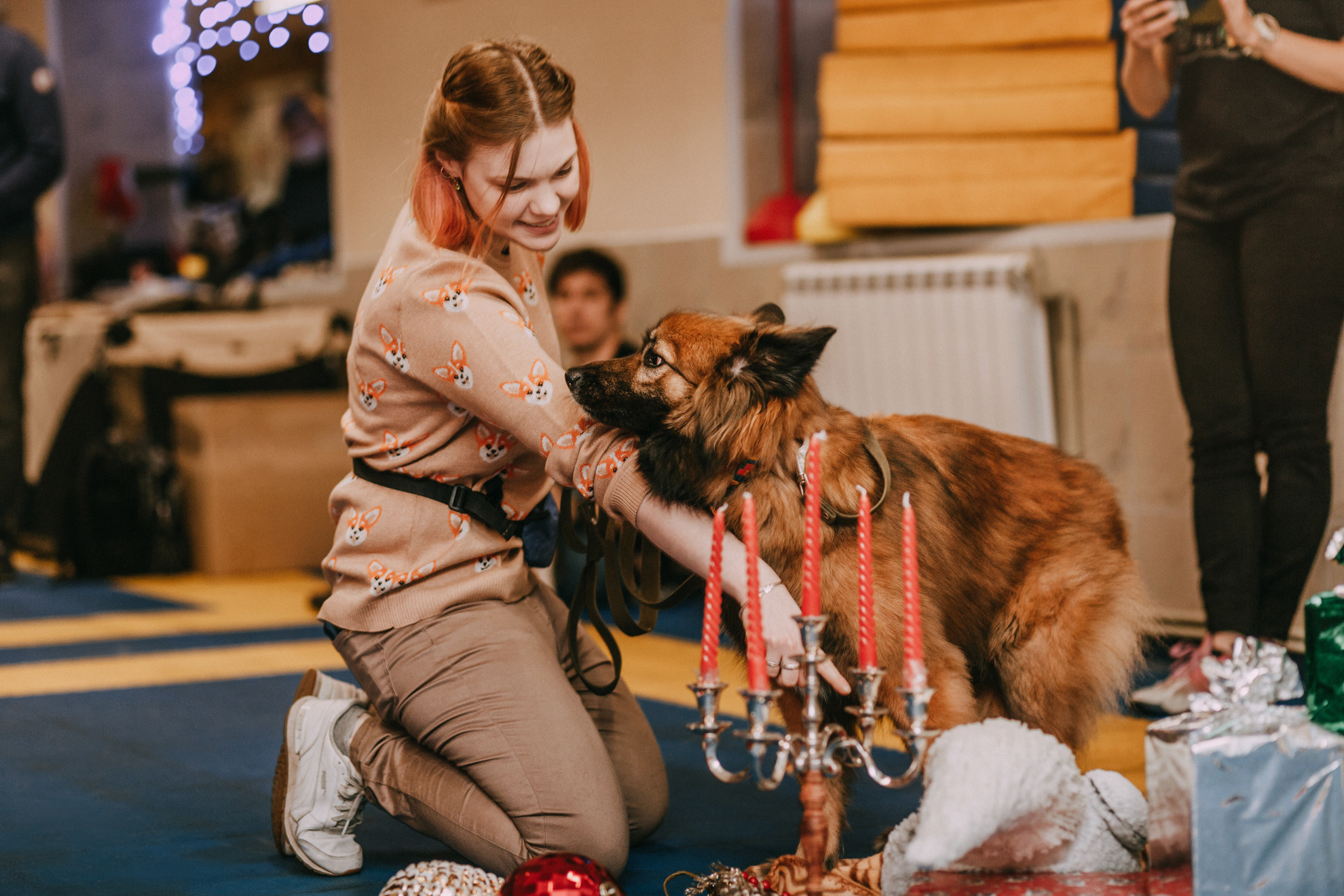 Собачий Новый год. Фотограф-анималист Елена Радченко, Москва