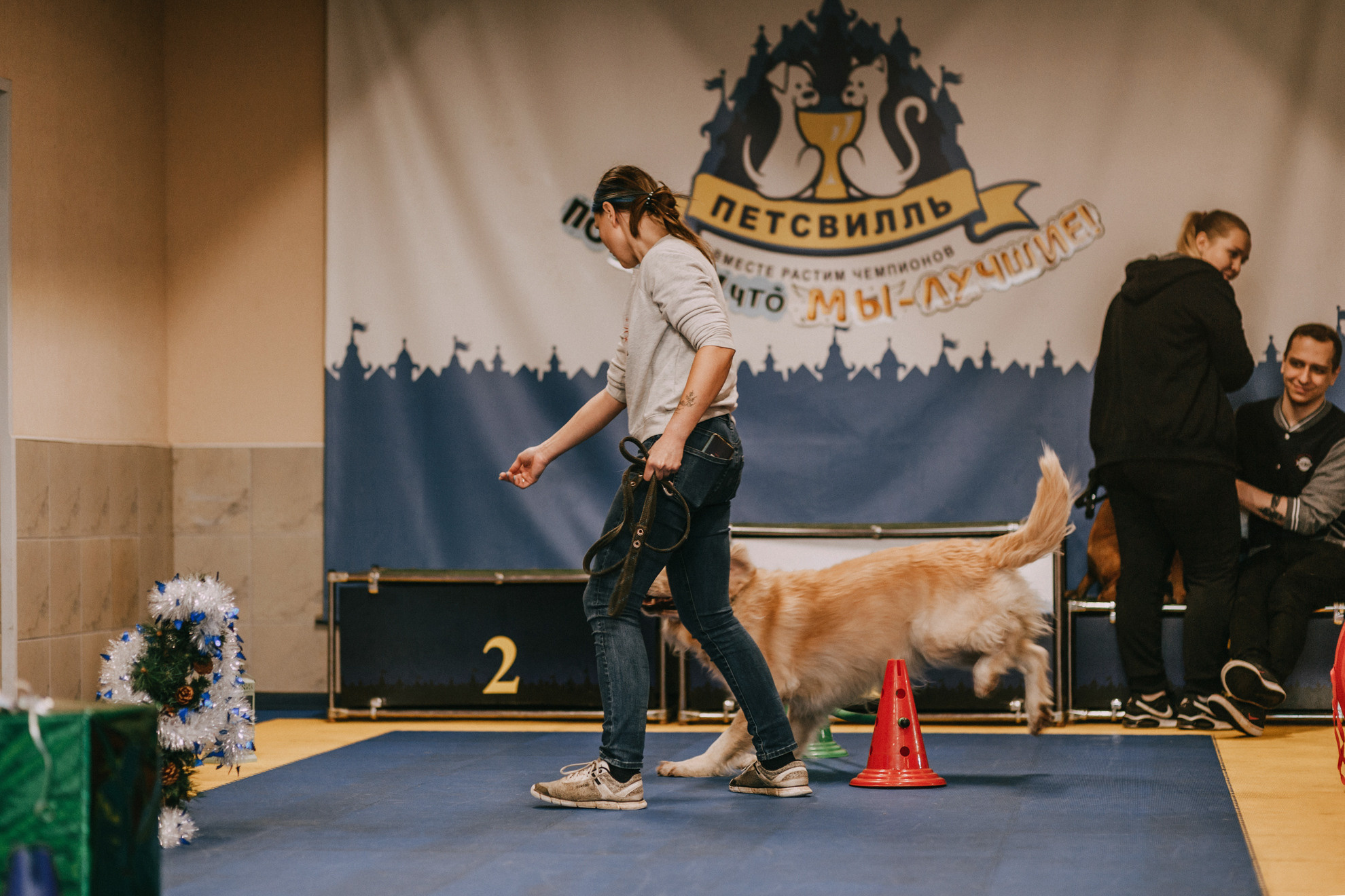Собачий Новый год. Фотограф-анималист Елена Радченко, Москва