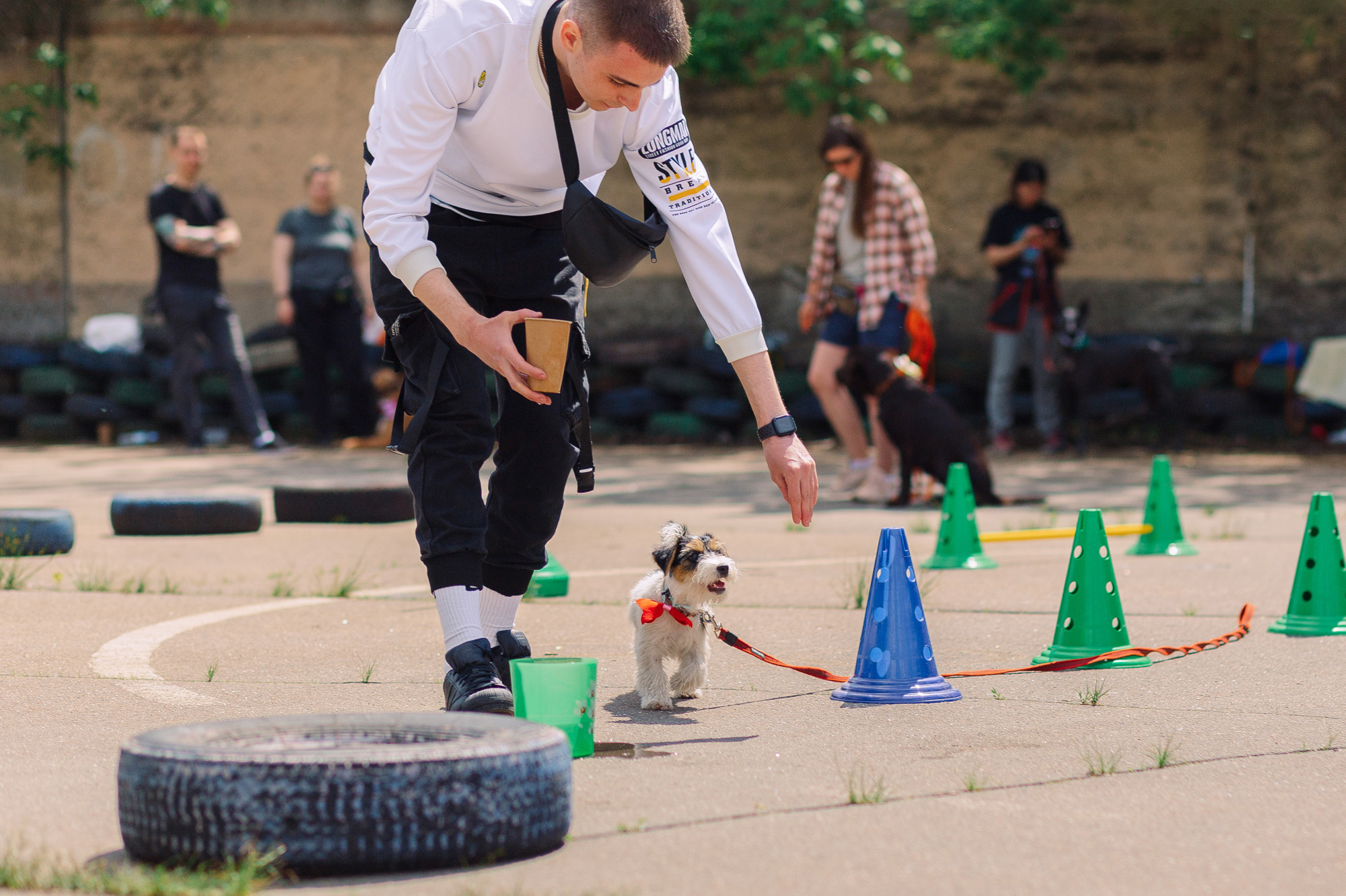 Дог-туса. Фотограф-анималист Елена Радченко, Москва