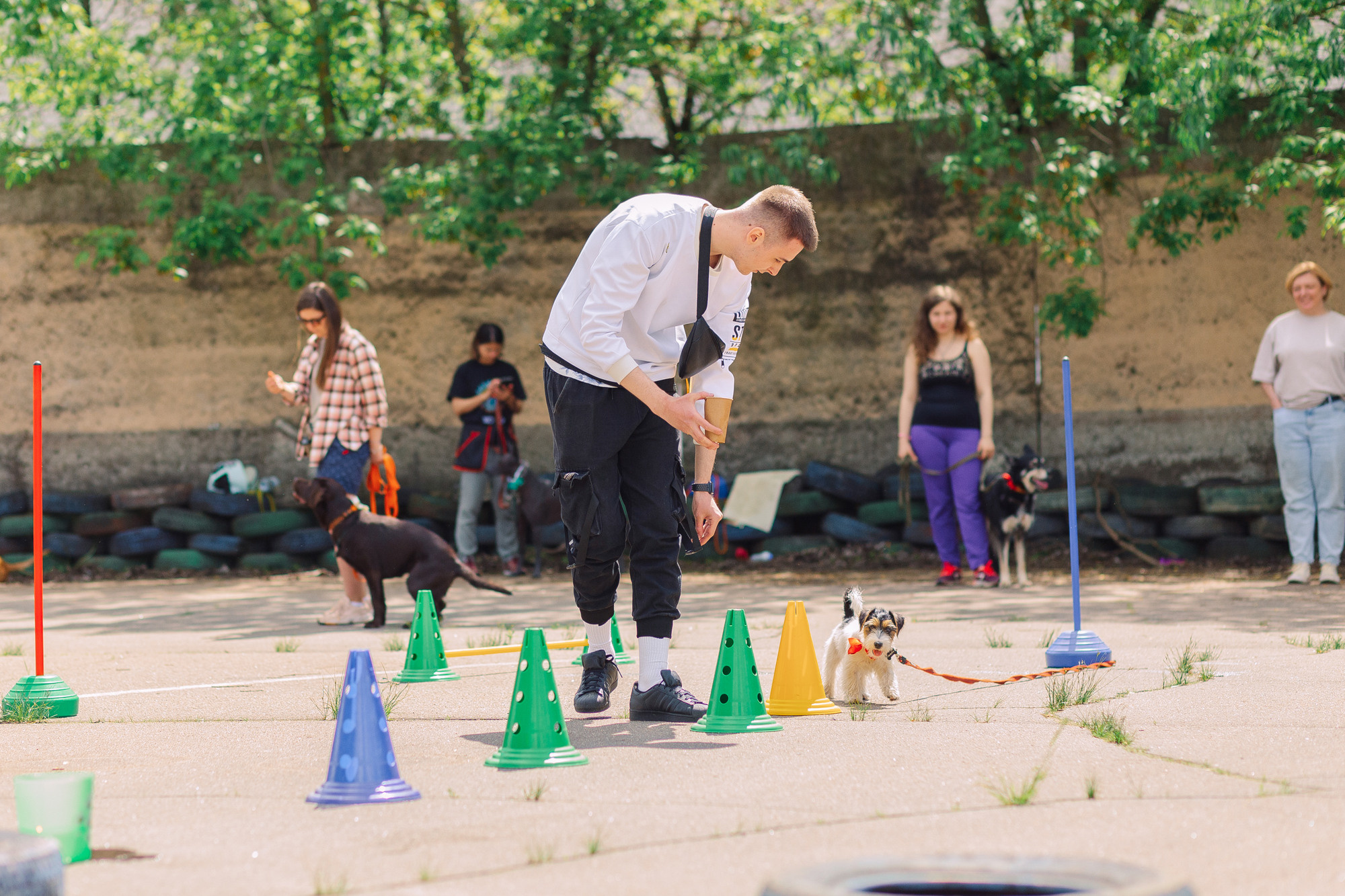 Дог-туса. Фотограф-анималист Елена Радченко, Москва