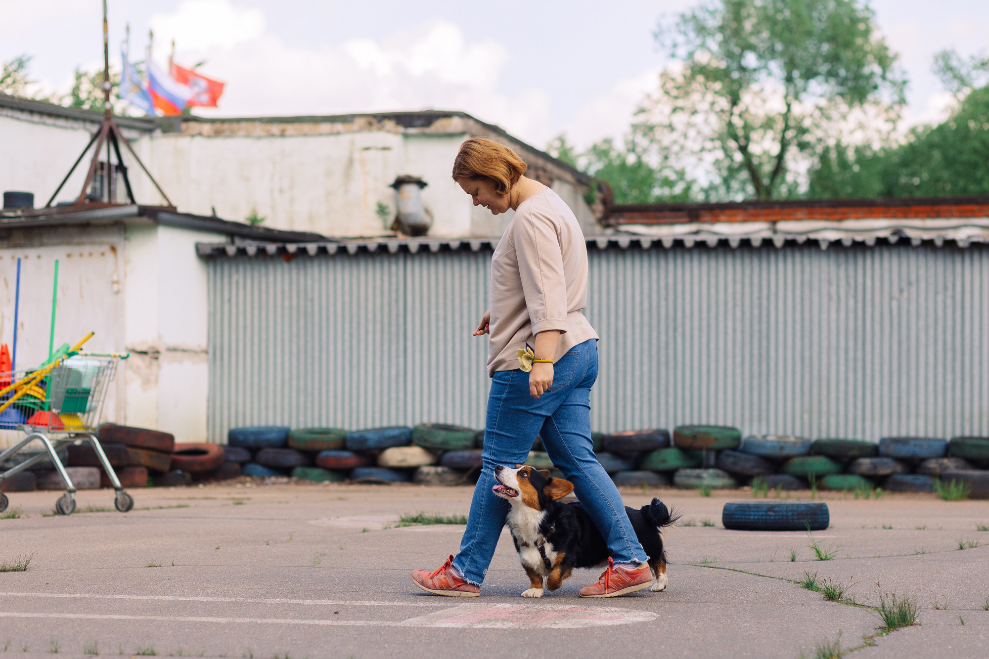Дог-туса. Фотограф-анималист Елена Радченко, Москва