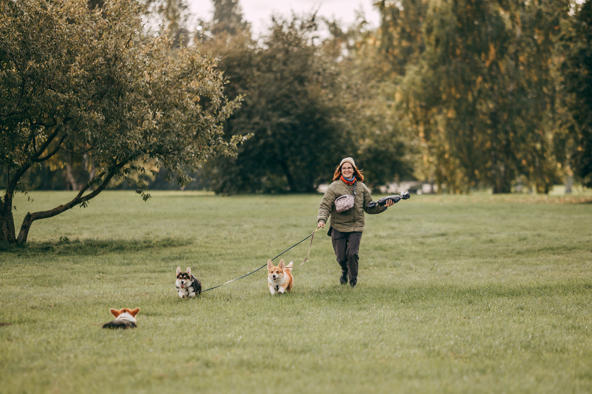 День рождения Габи. Фотограф-анималист Елена Радченко, Москва