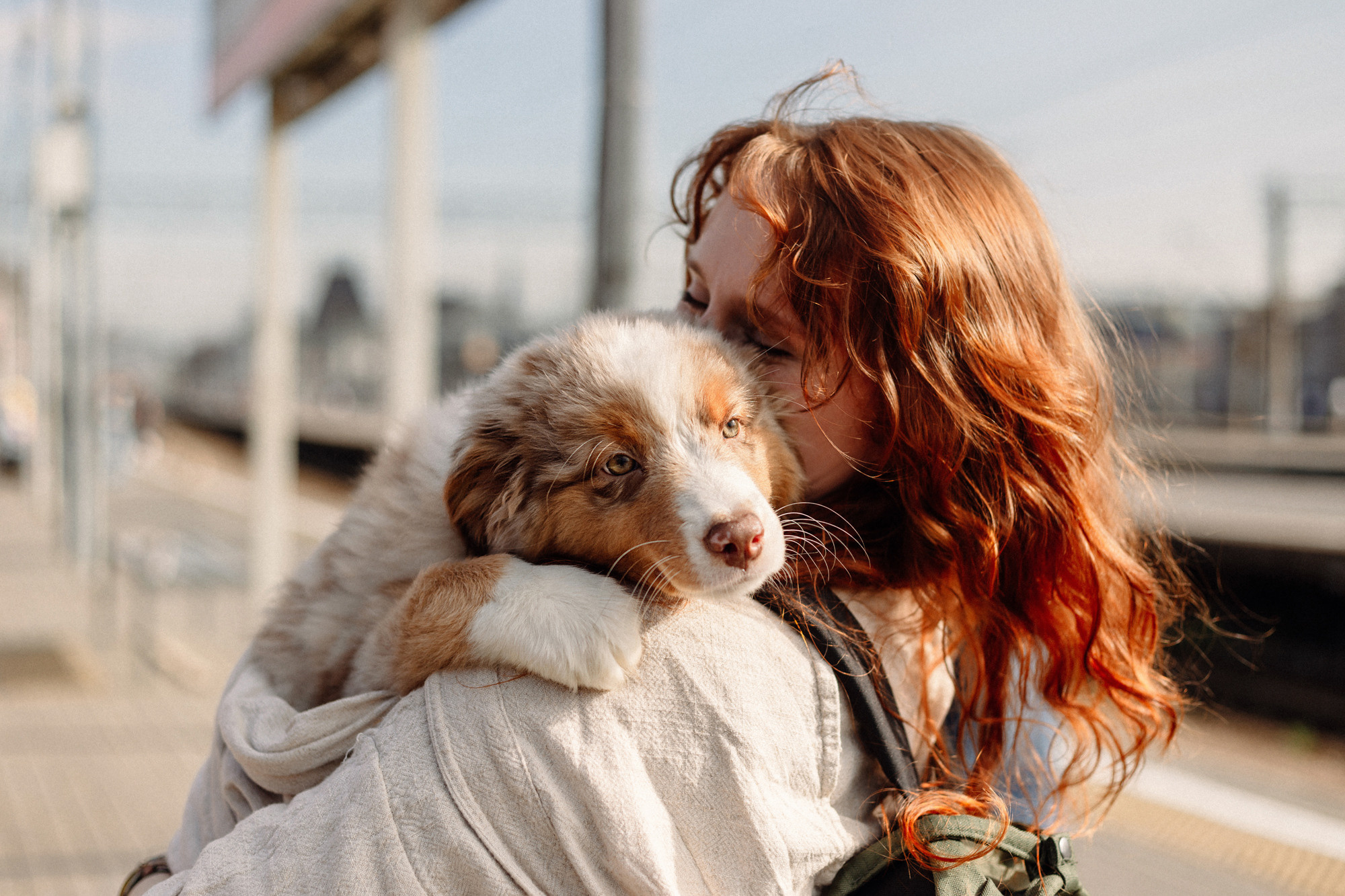 Тася и Брусника. Встреча с поезда. Фотограф-анималист Елена Радченко, Москва