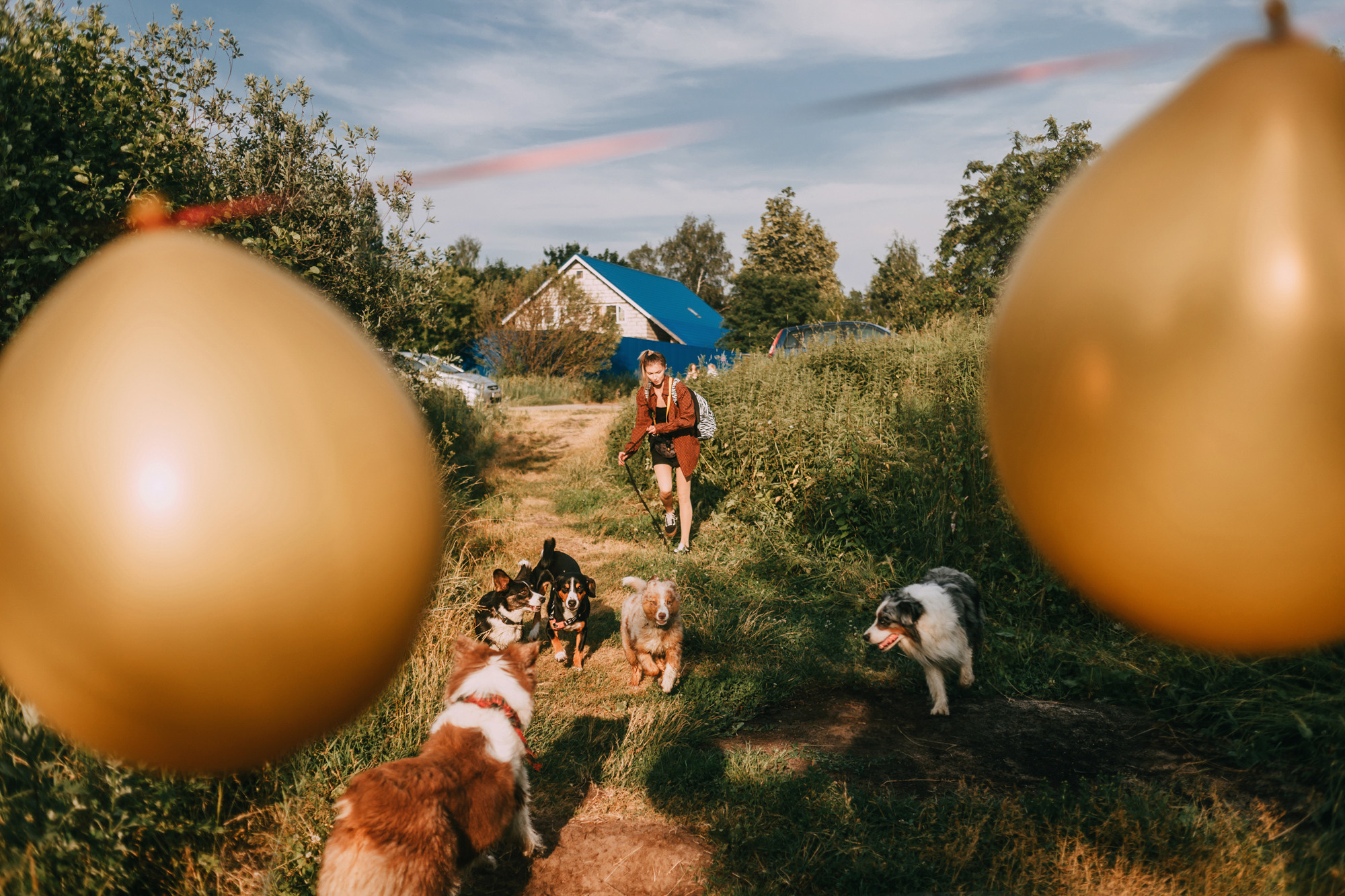 День рождения Морошки. Фотограф-анималист Елена Радченко, Москва
