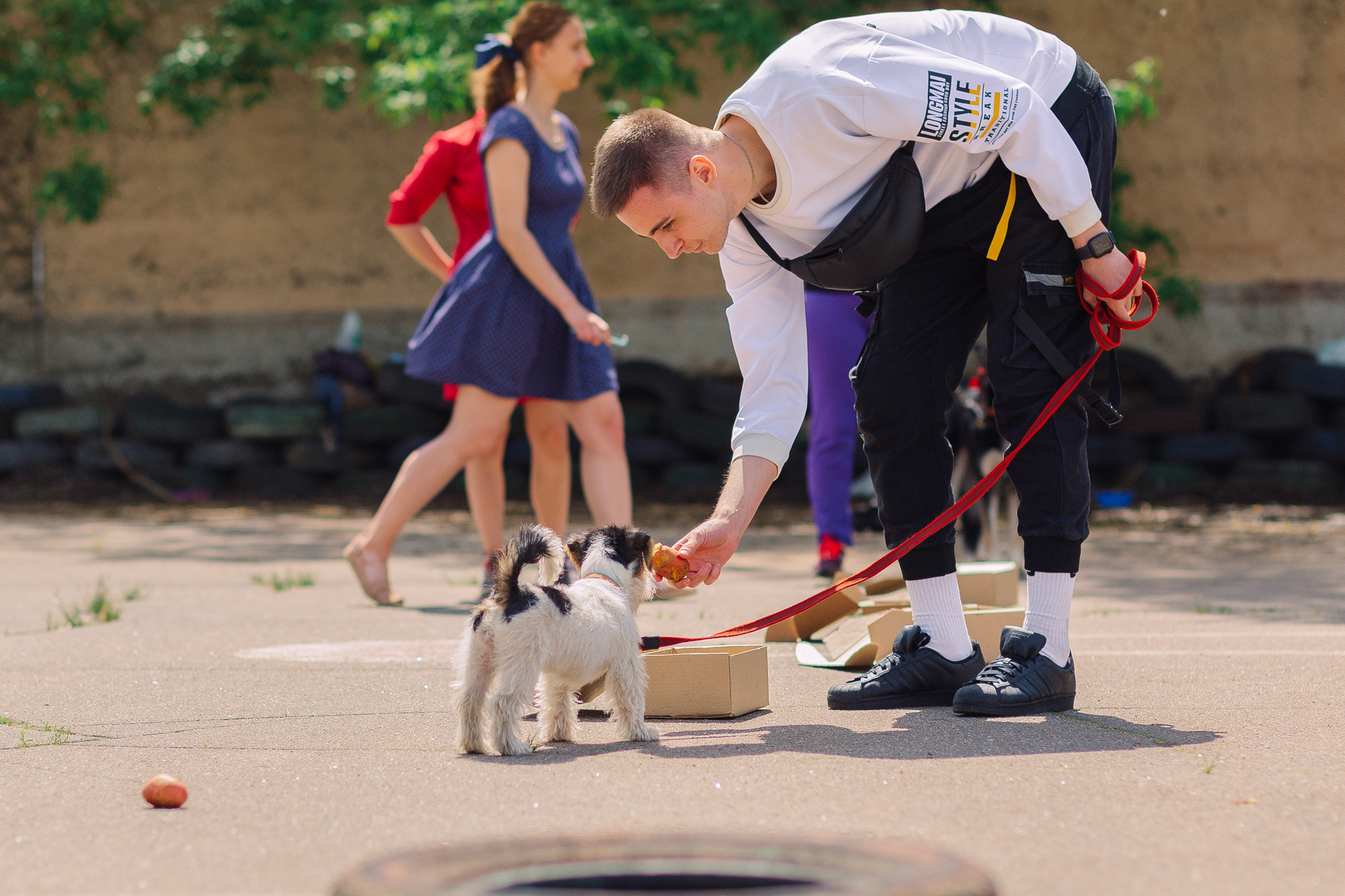 Дог-туса. Фотограф-анималист Елена Радченко, Москва