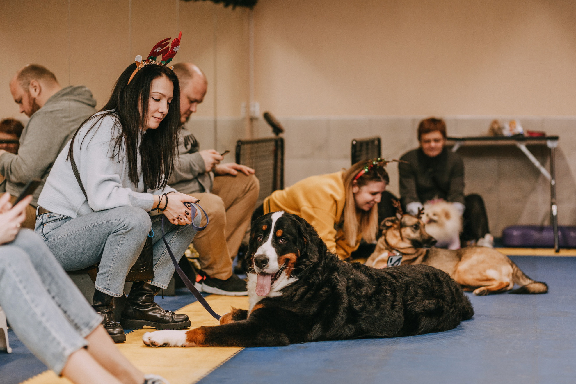 Собачий Новый год. Фотограф-анималист Елена Радченко, Москва