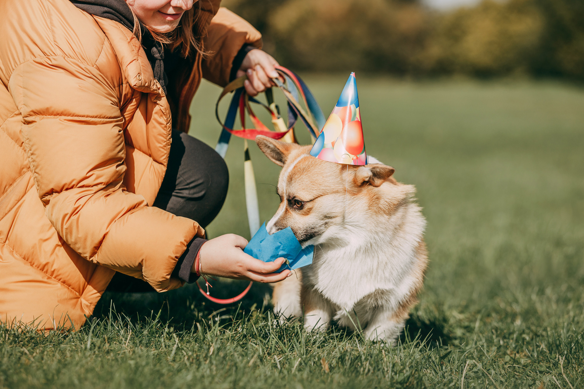 День рождения Габи. Фотограф-анималист Елена Радченко, Москва