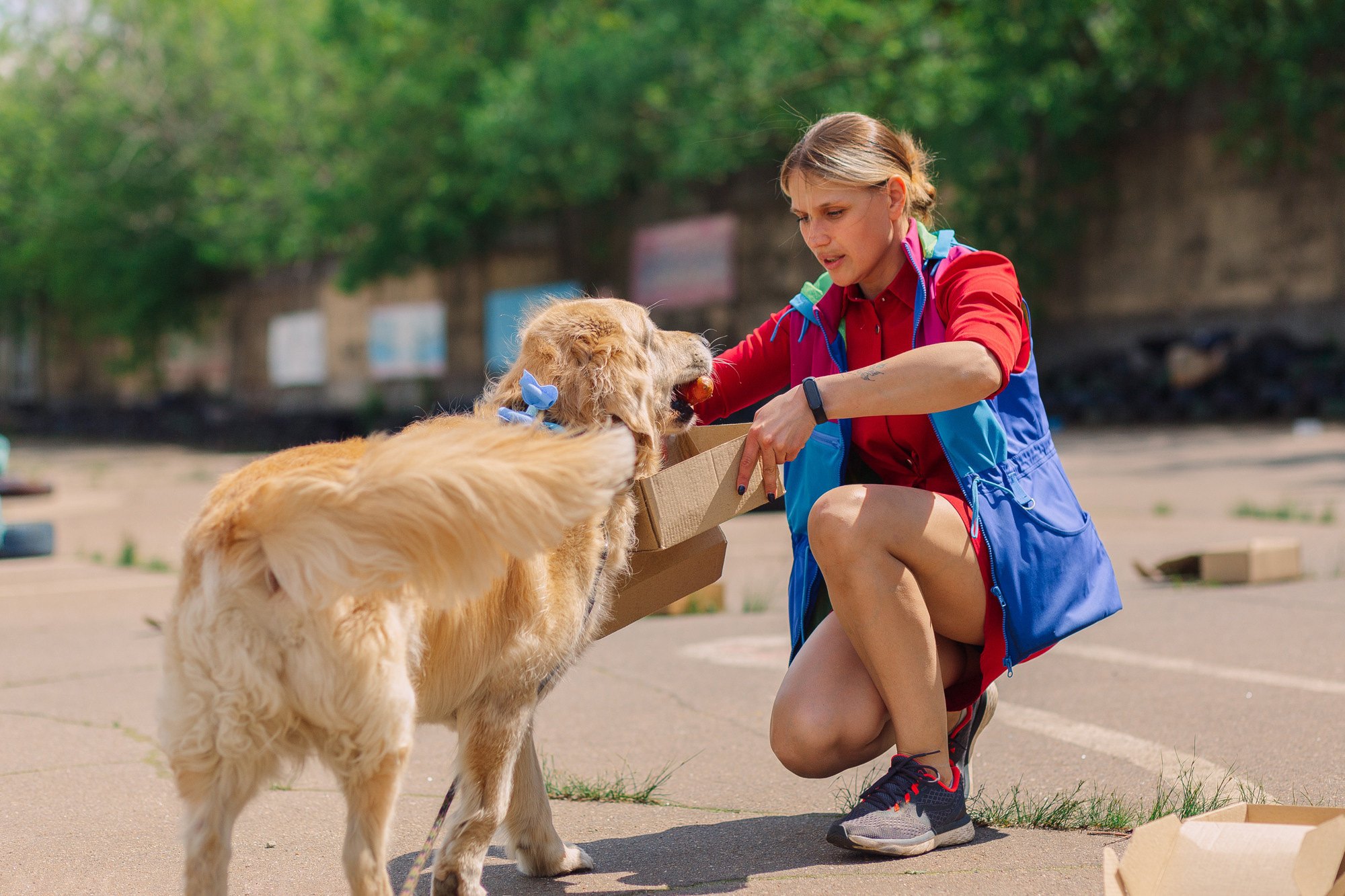 Дог-туса. Фотограф-анималист Елена Радченко, Москва
