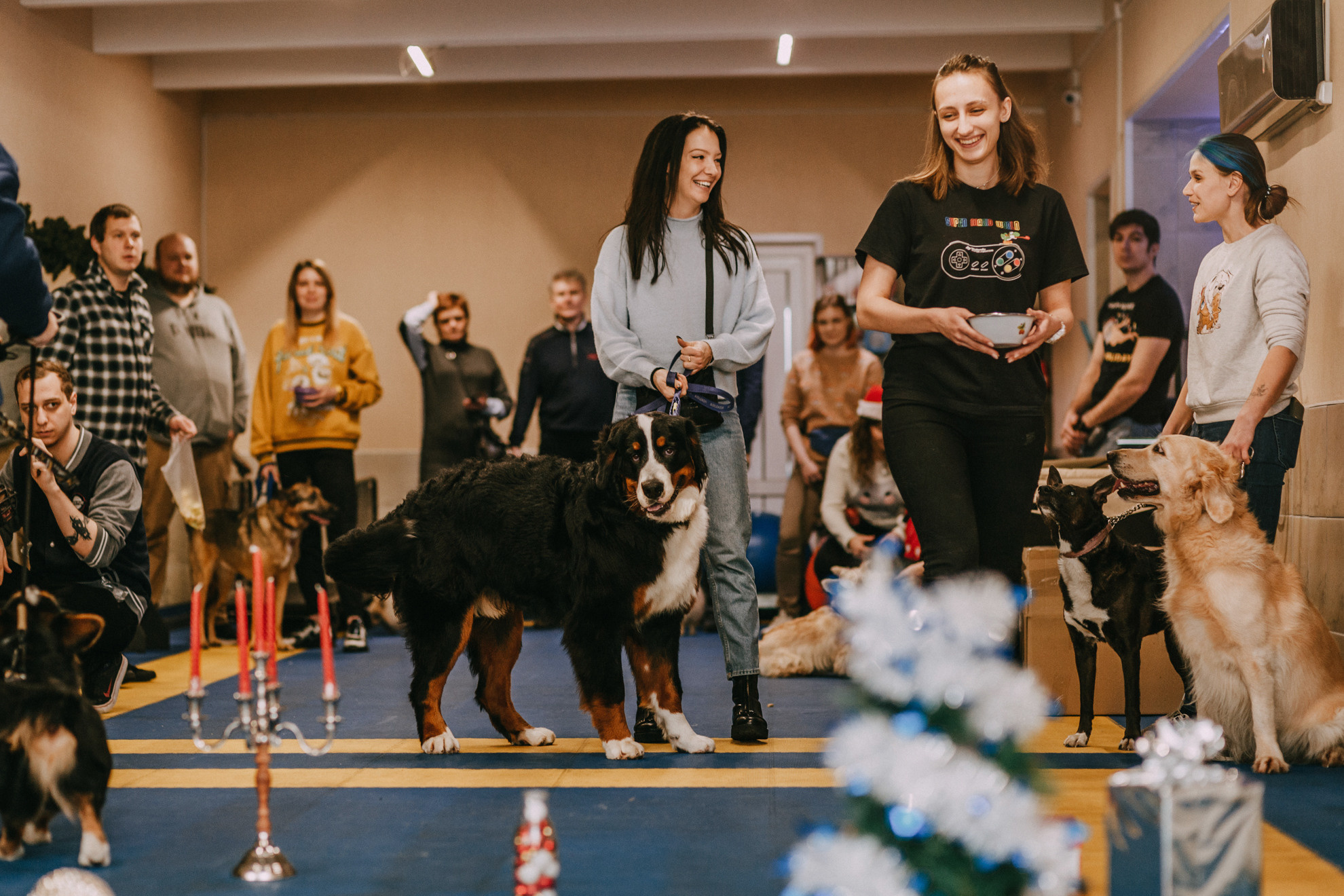 Собачий Новый год. Фотограф-анималист Елена Радченко, Москва