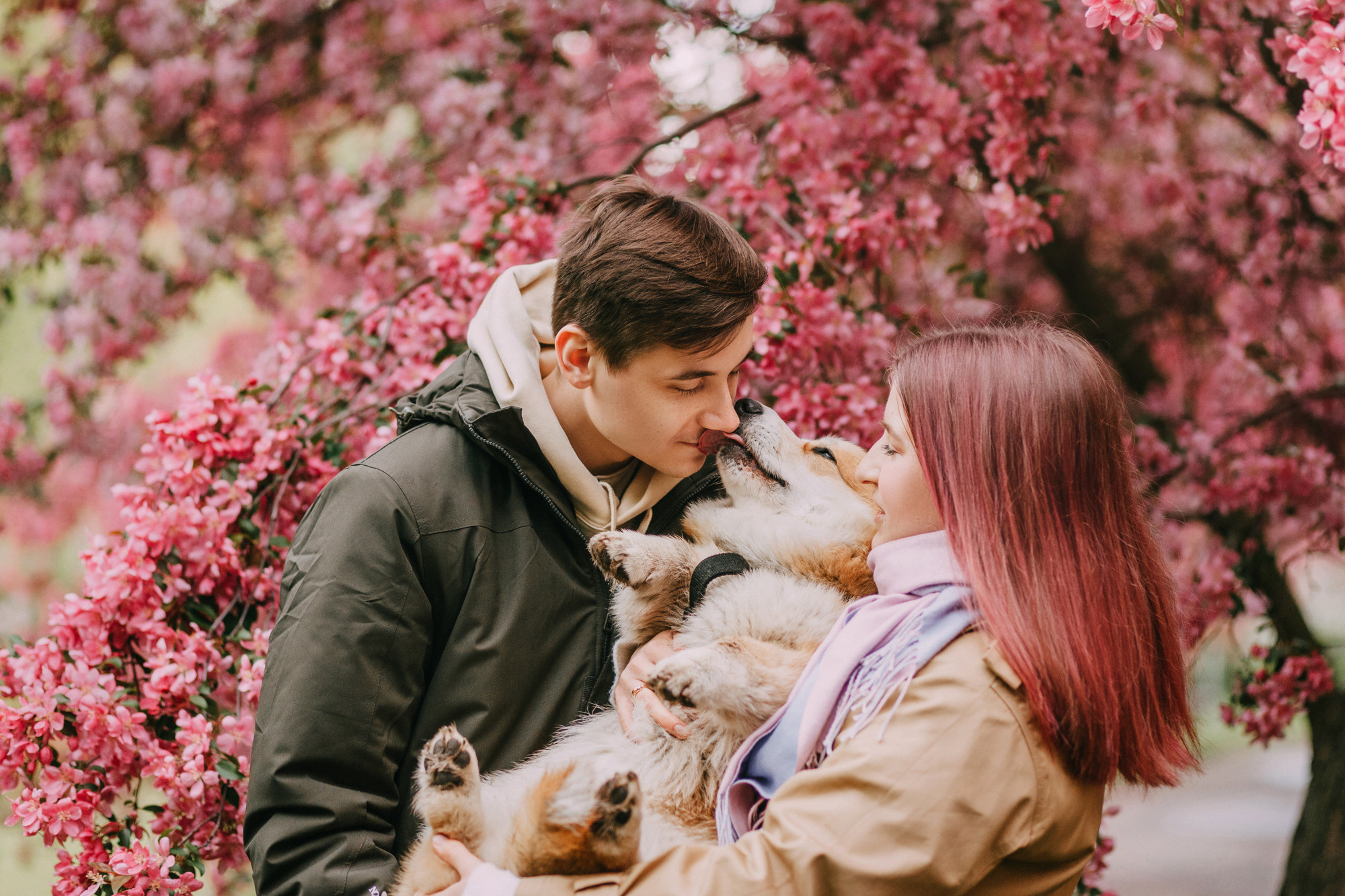 Анна и Филипп. Фотограф-анималист Елена Радченко, Москва