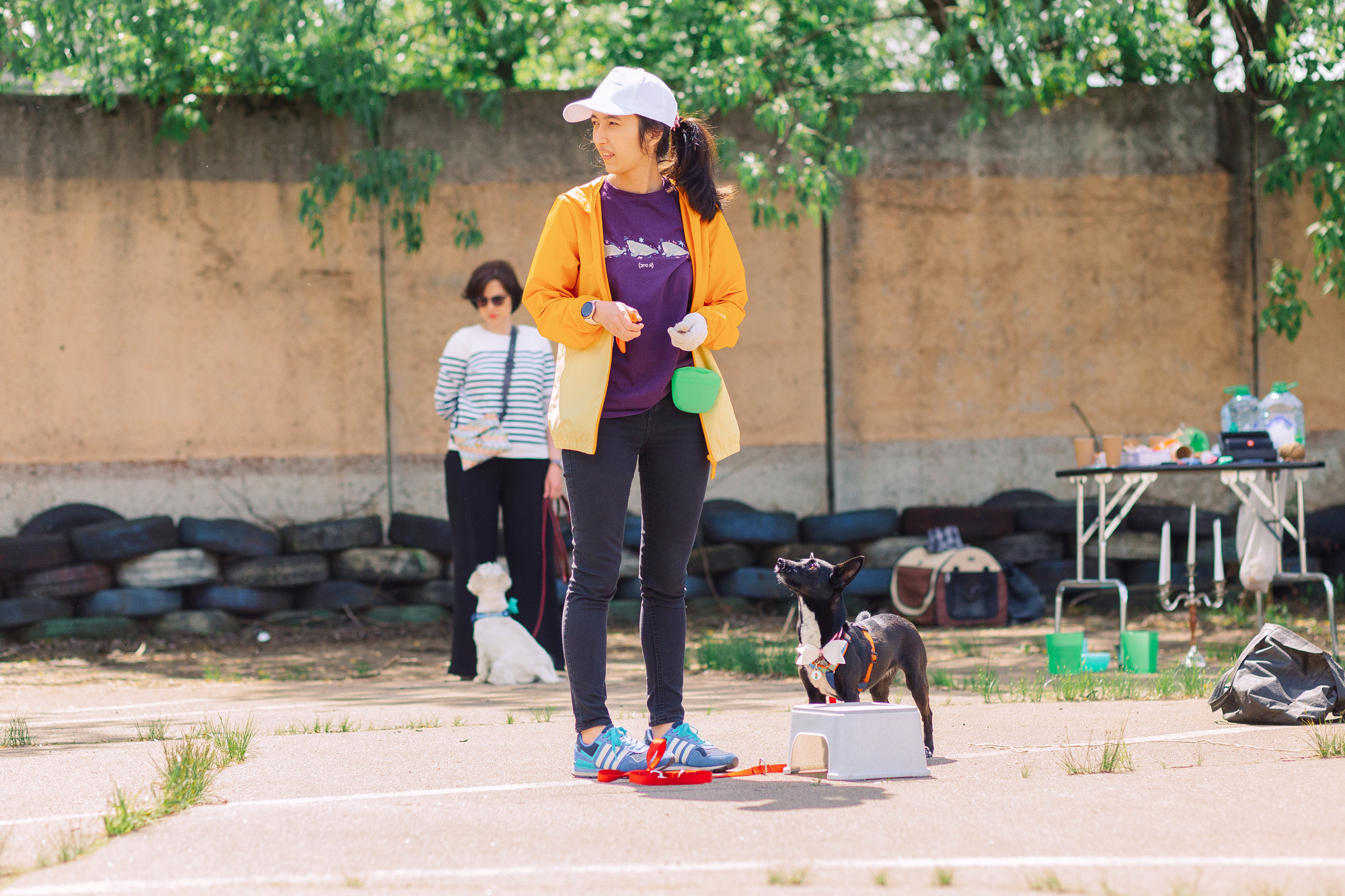 Дог-туса. Фотограф-анималист Елена Радченко, Москва