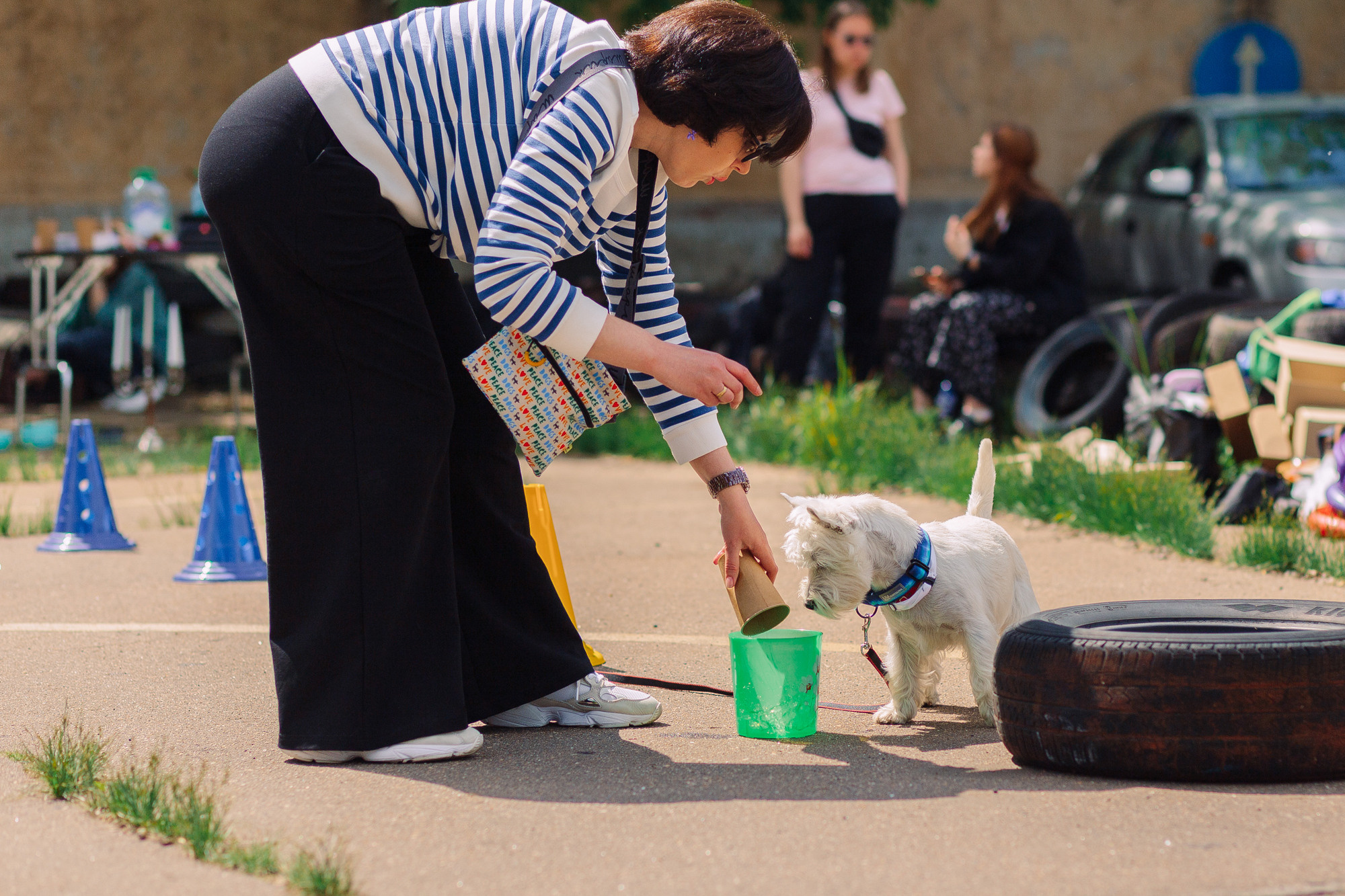 Дог-туса. Фотограф-анималист Елена Радченко, Москва