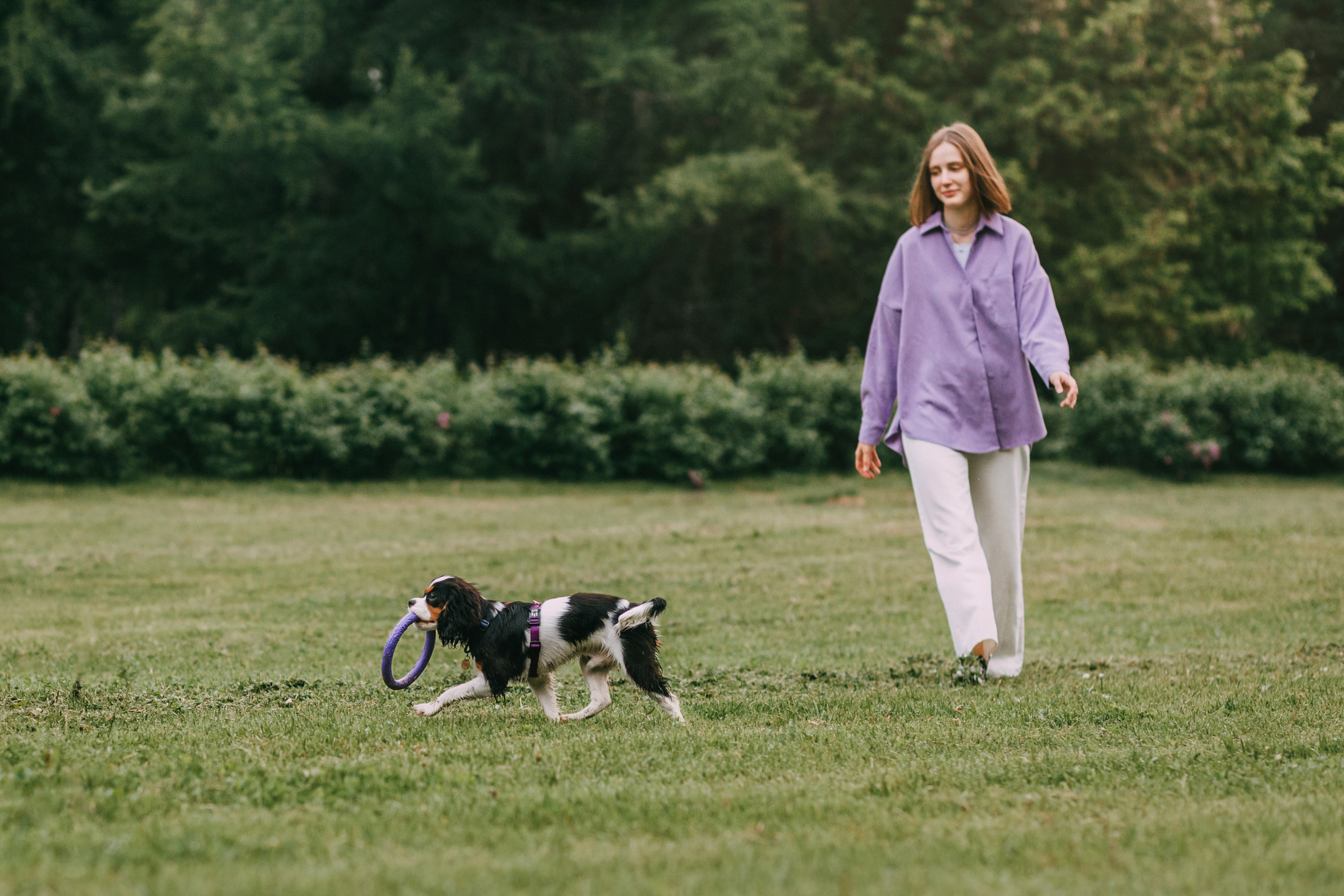 Вика и Морти. Фотограф-анималист Елена Радченко, Москва