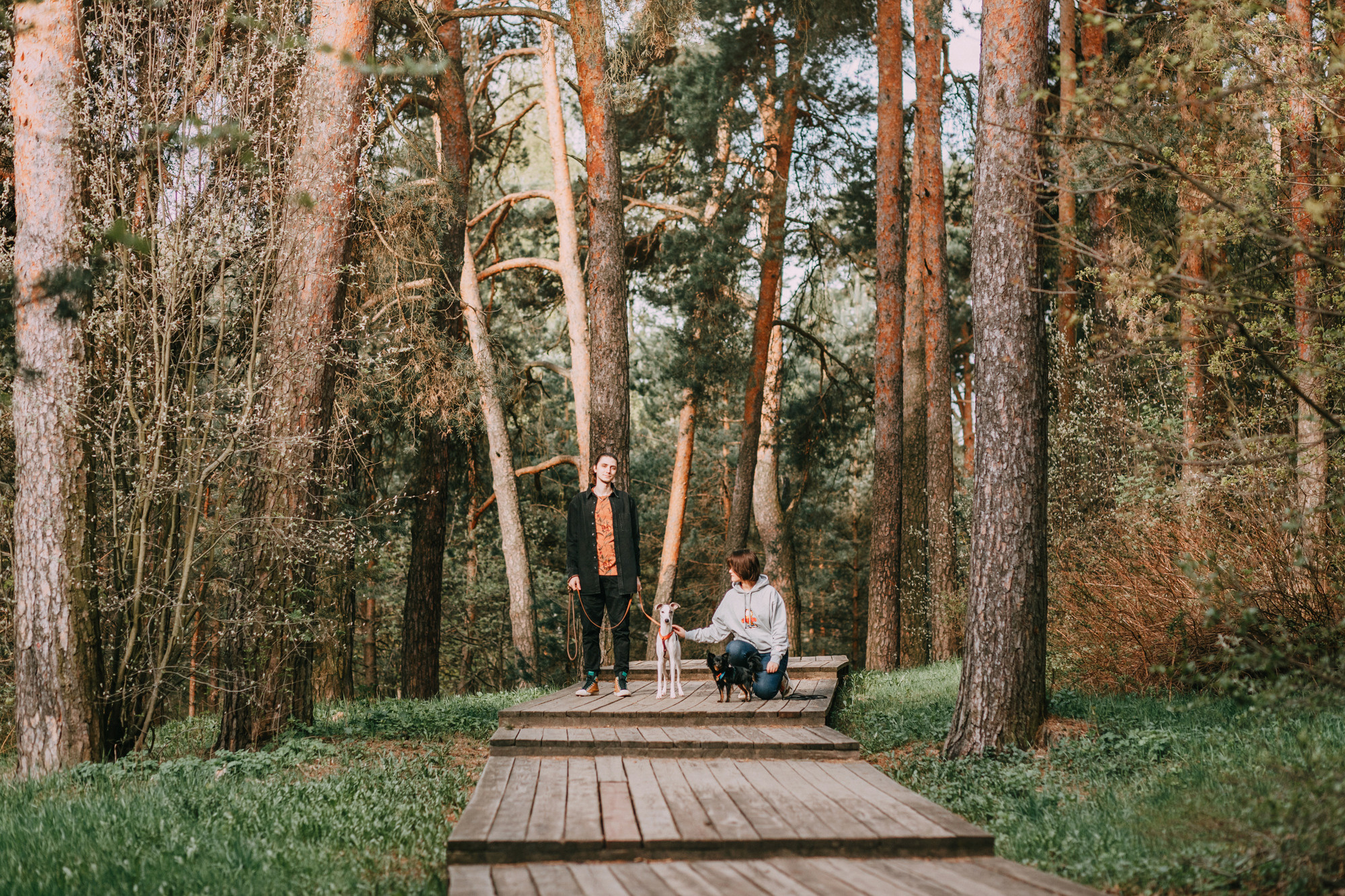Соня, Максим, Данте и Ланя. Фотограф-анималист Елена Радченко, Москва