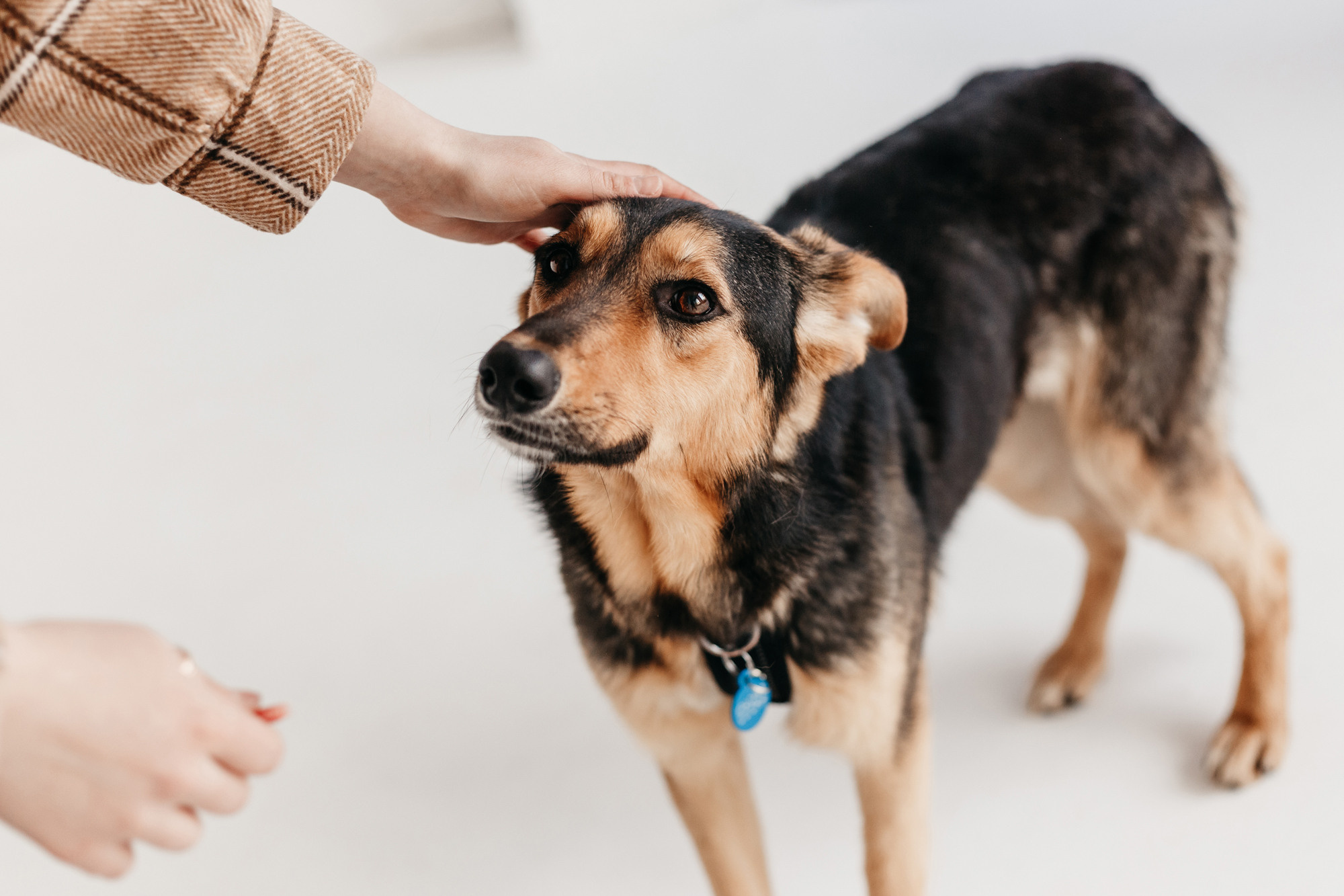 Фотодень 9 апреля. Фотограф-анималист Елена Радченко, Москва
