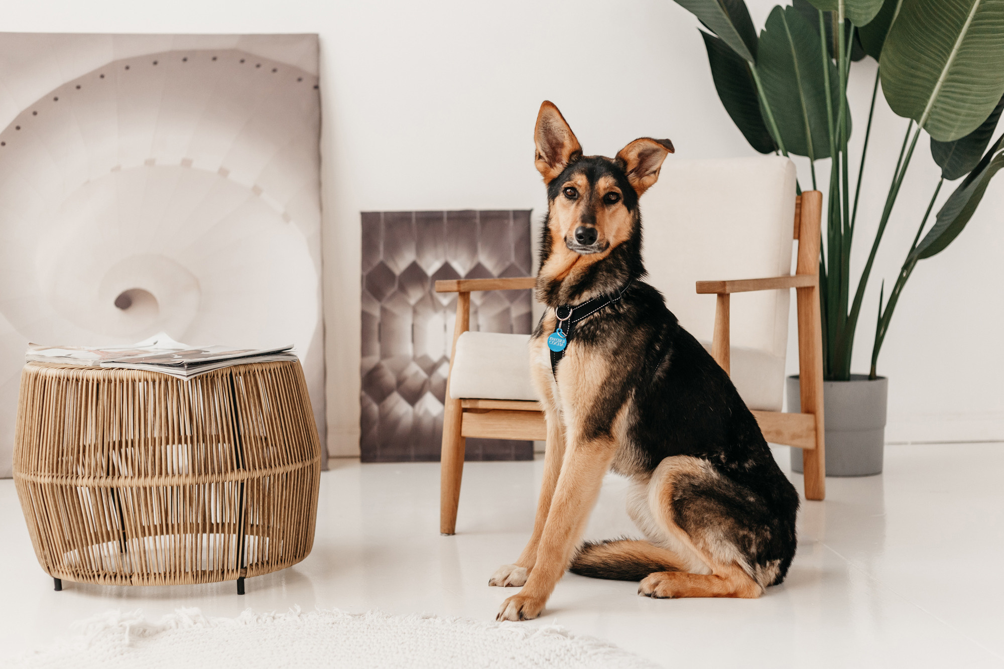 Фотодень 9 апреля. Фотограф-анималист Елена Радченко, Москва