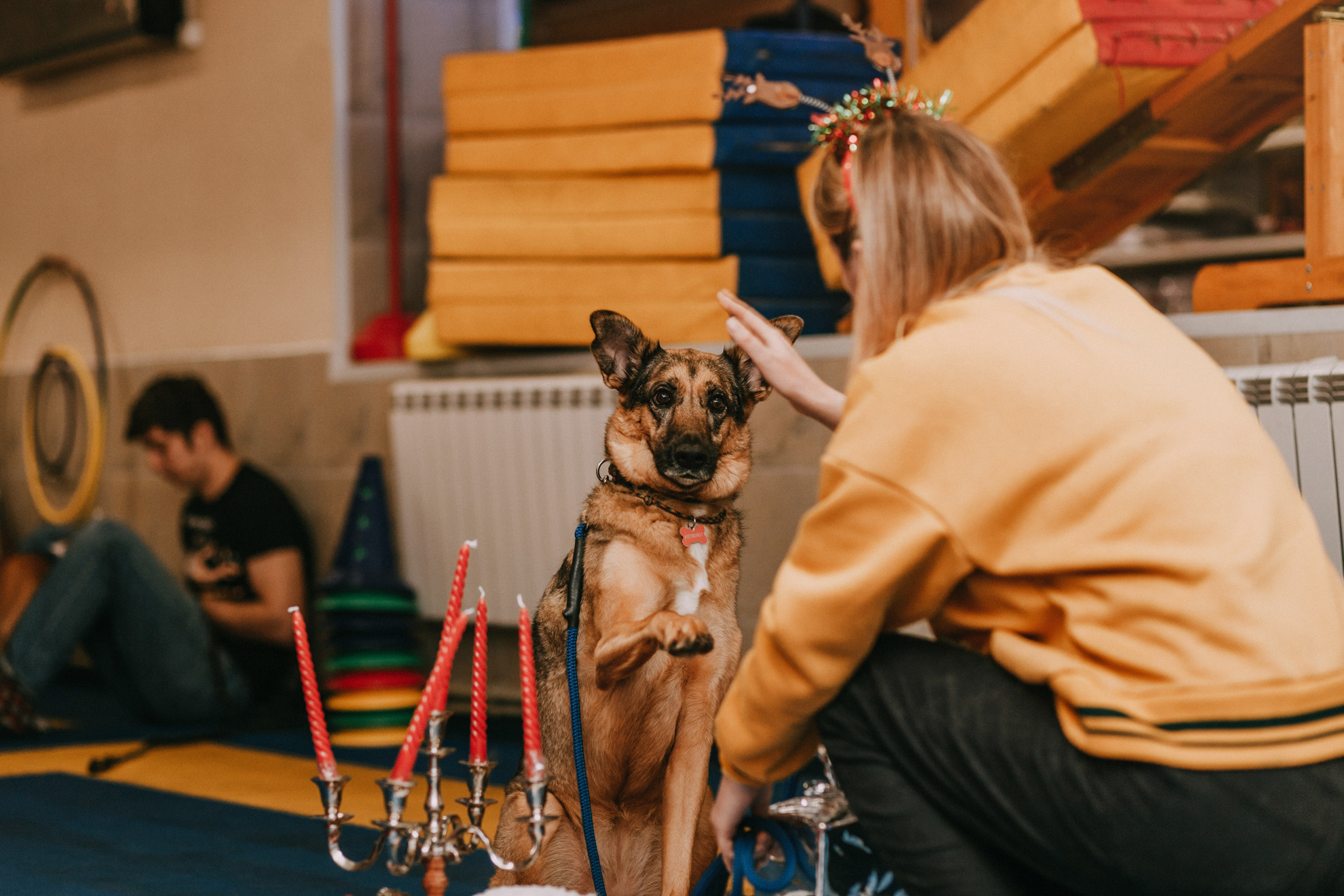 Собачий Новый год. Фотограф-анималист Елена Радченко, Москва