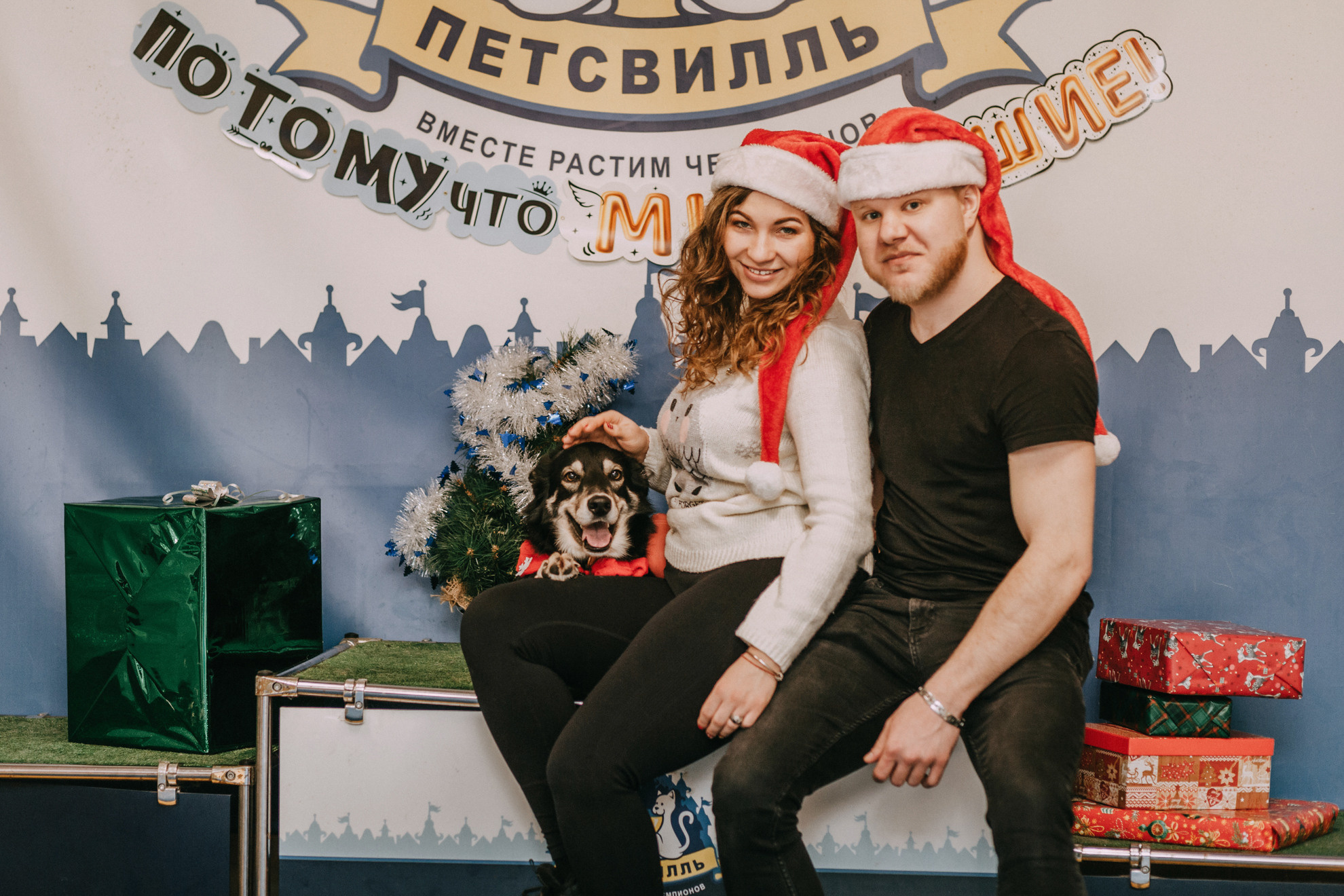 Собачий Новый год. Фотограф-анималист Елена Радченко, Москва