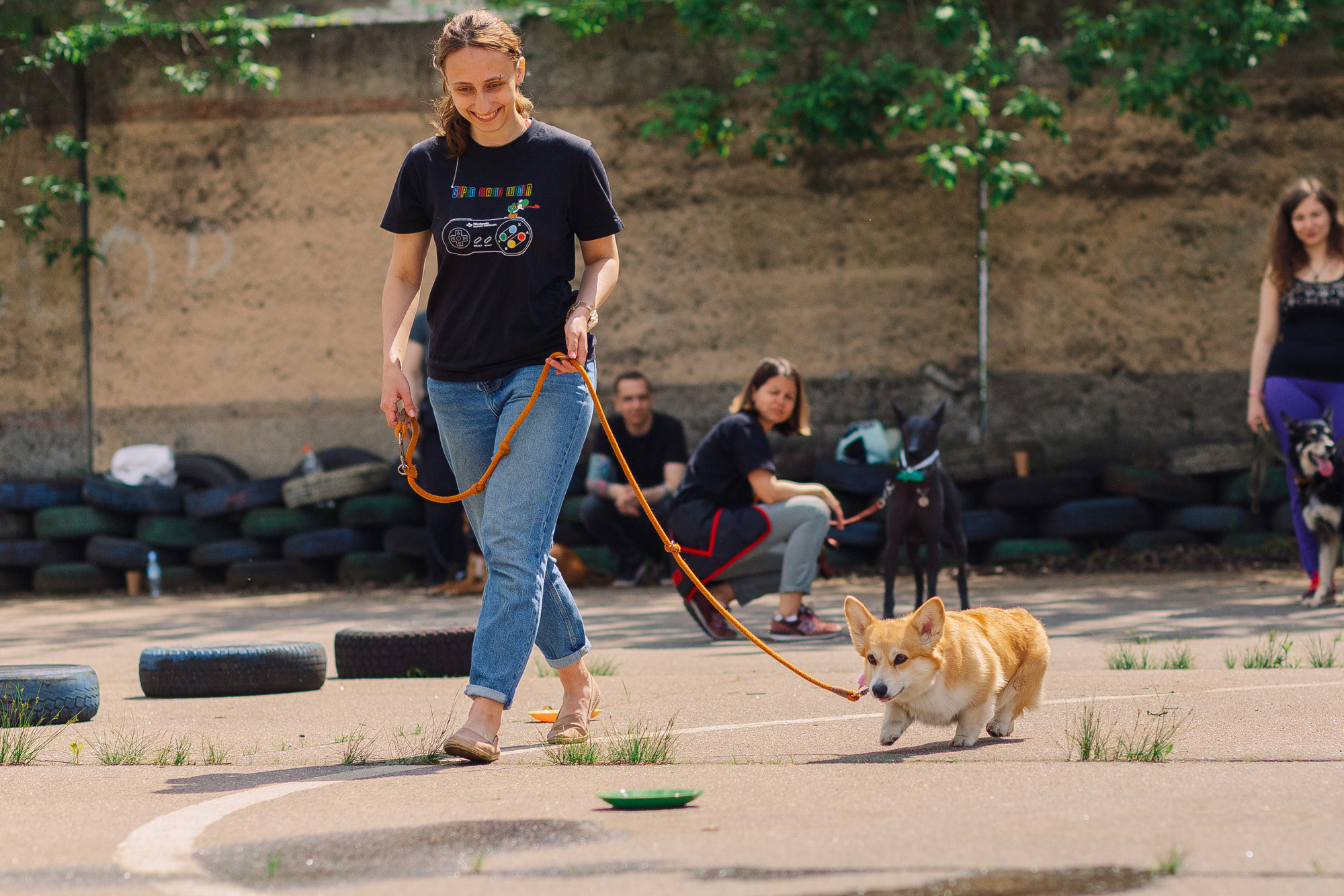 Дог-туса. Фотограф-анималист Елена Радченко, Москва