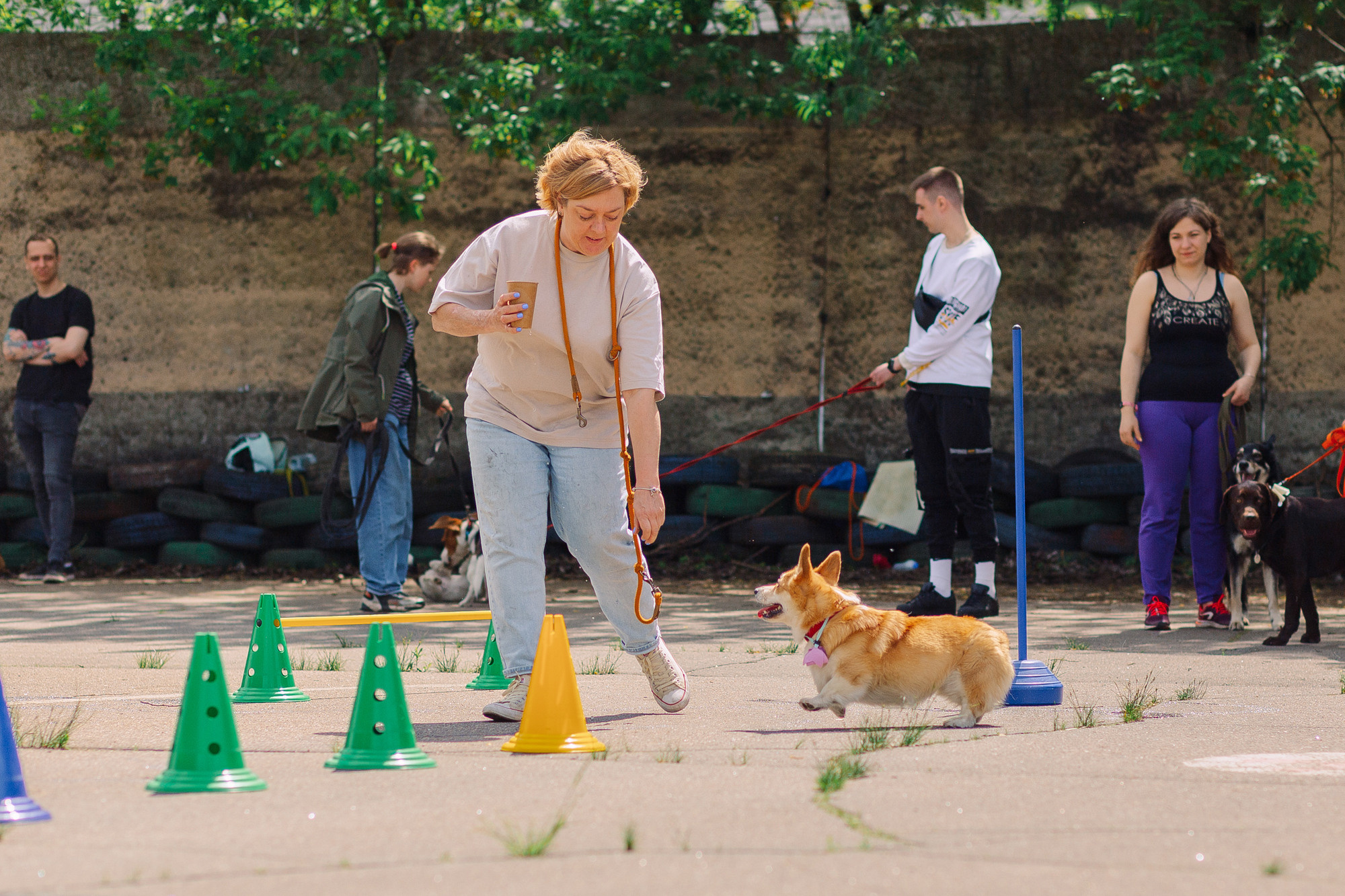 Дог-туса. Фотограф-анималист Елена Радченко, Москва