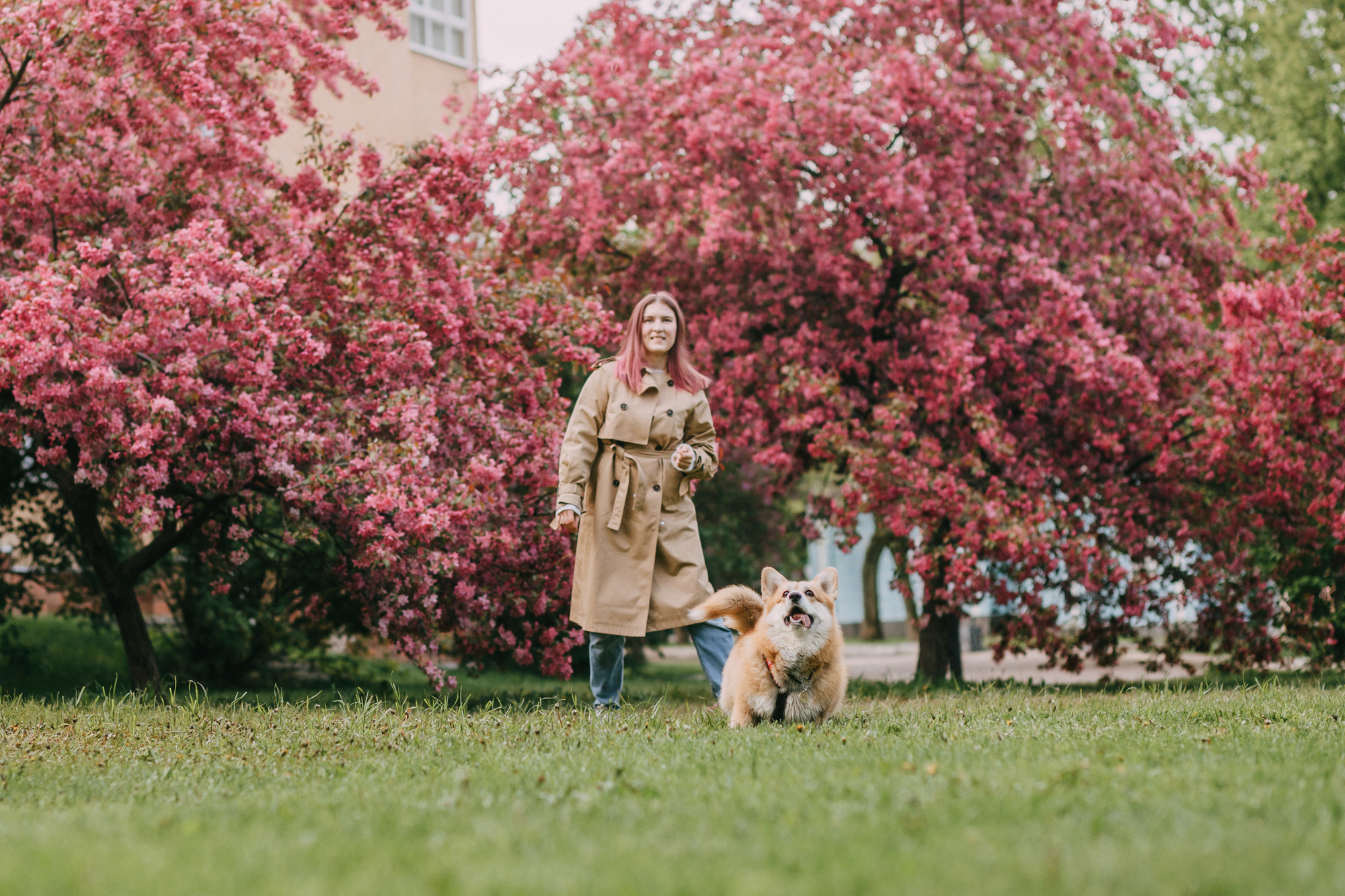 Анна и Филипп. Фотограф-анималист Елена Радченко, Москва
